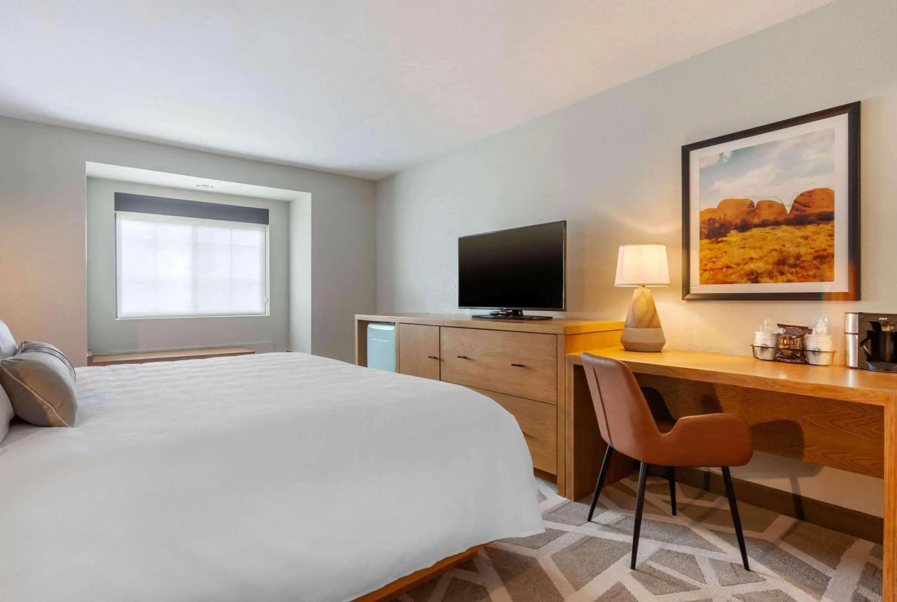 Photo of the whole room, Bed in La Quinta Inn & Suites by Wyndham Tempe University, Phoenix