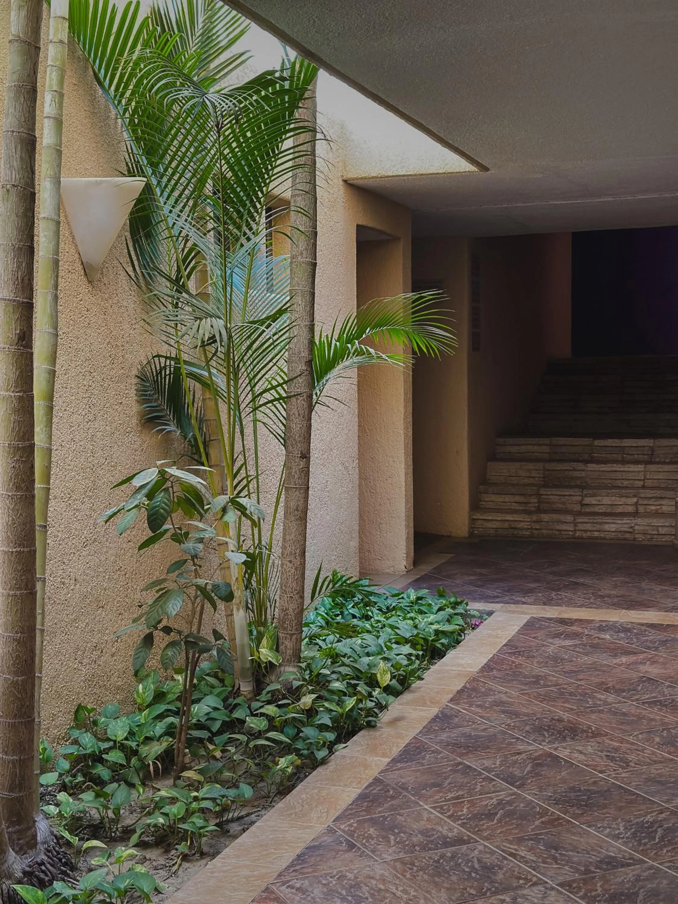 Garden view in Hotel Los Patios