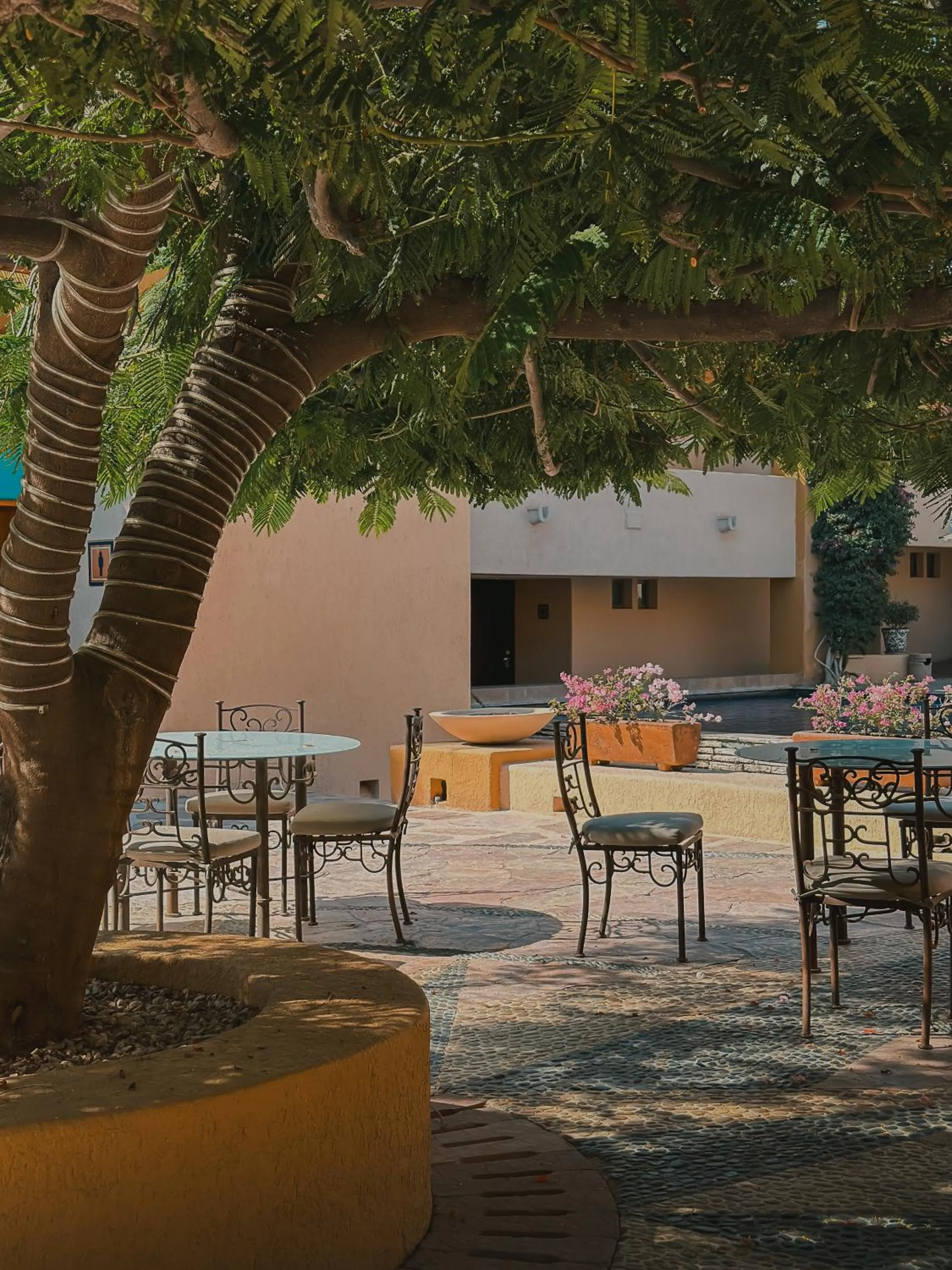 Patio in Hotel Los Patios