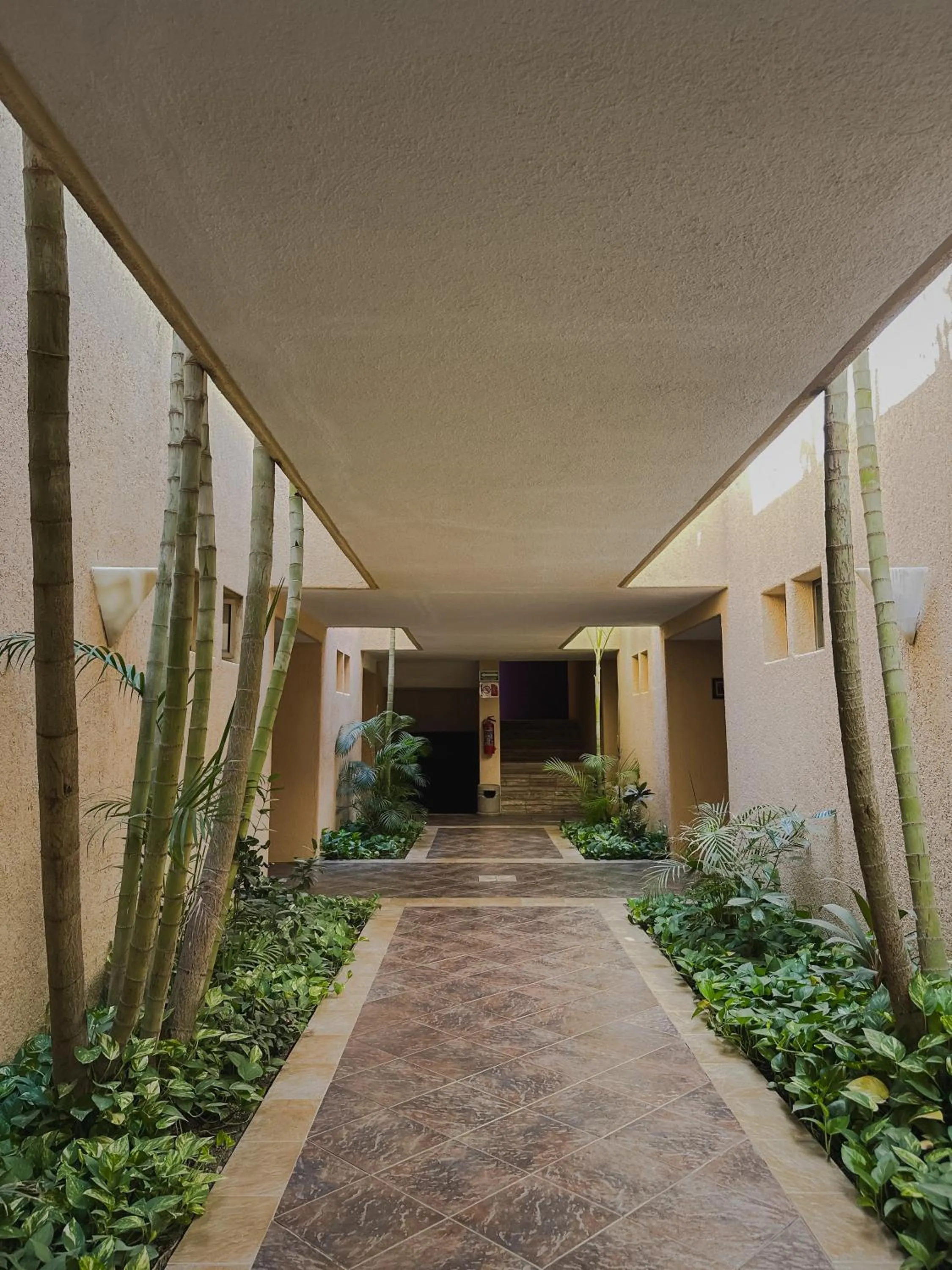 Property building in Hotel Los Patios