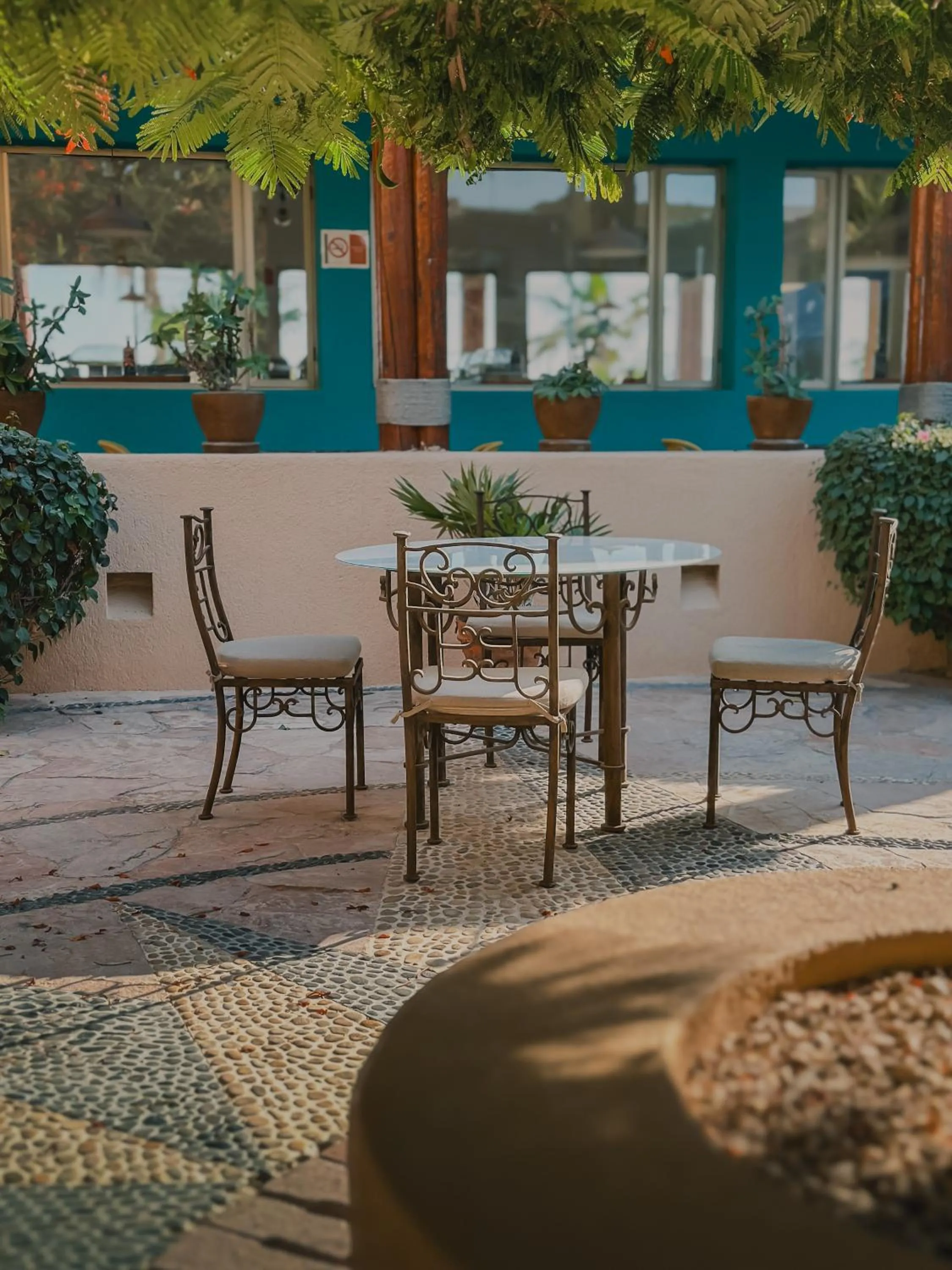 Restaurant/places to eat in Hotel Los Patios