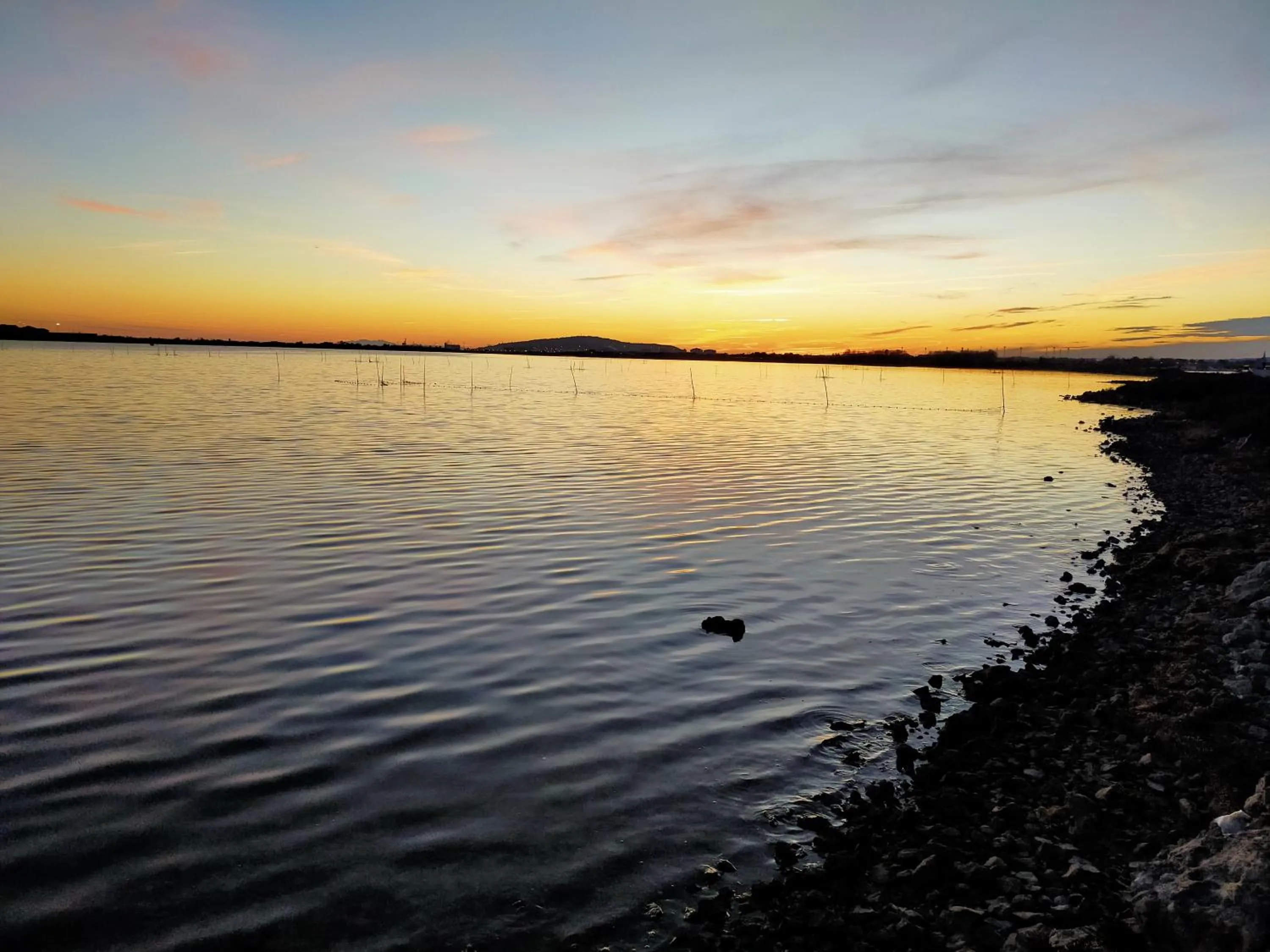 Beach in HOTEL THANIA