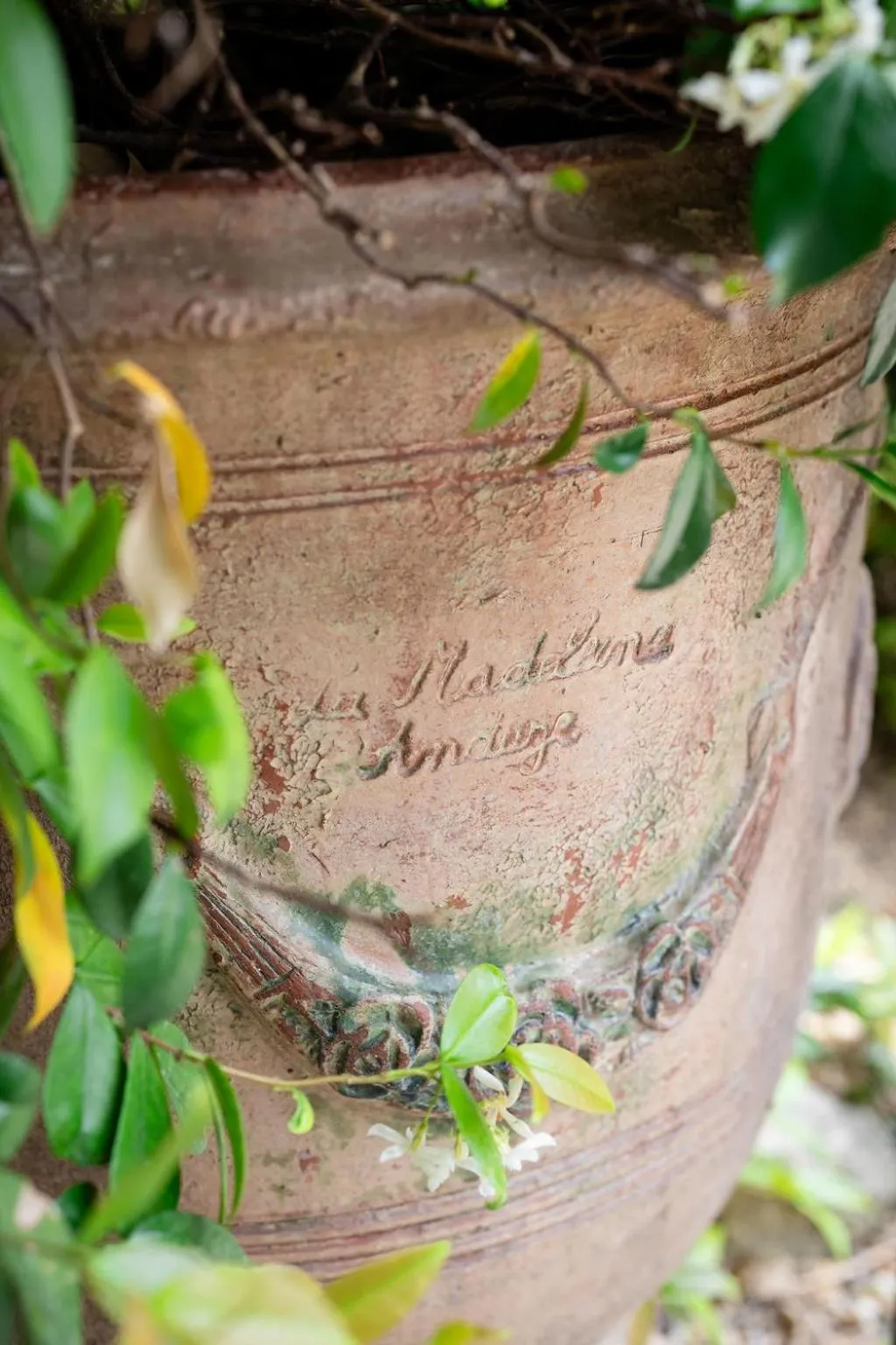 Garden in LA FERME DE LA HUPPE