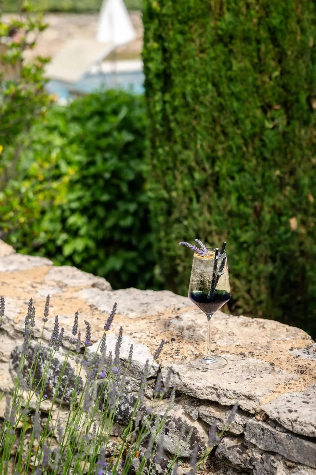 Garden view in LA FERME DE LA HUPPE