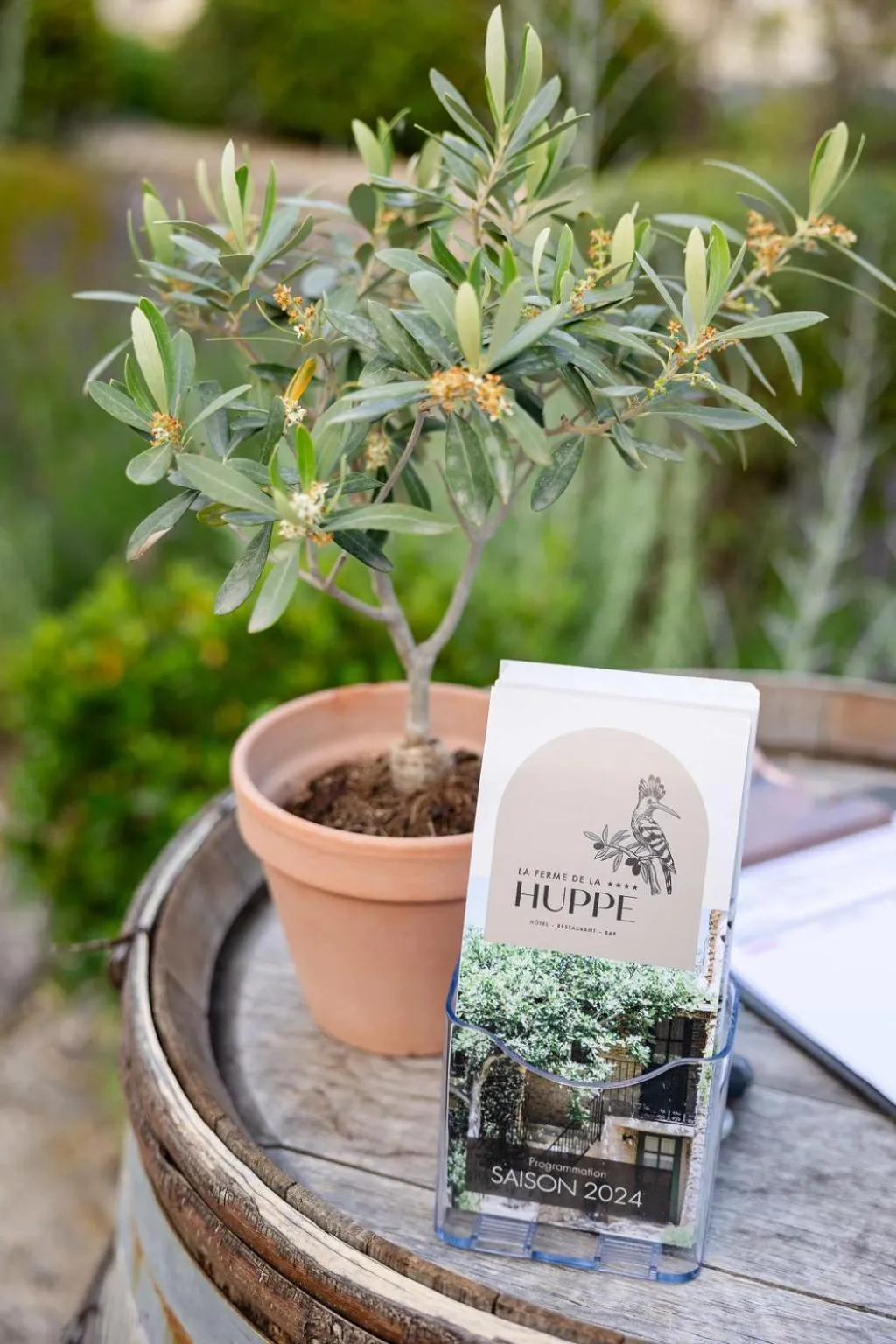 Garden in LA FERME DE LA HUPPE
