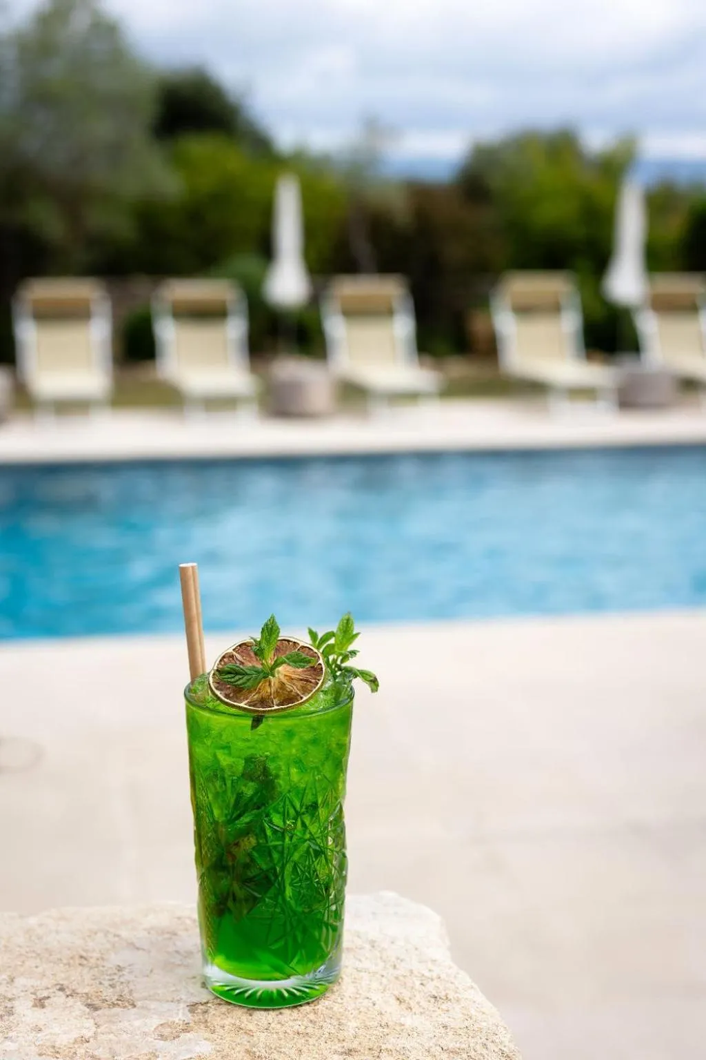 Pool view in LA FERME DE LA HUPPE