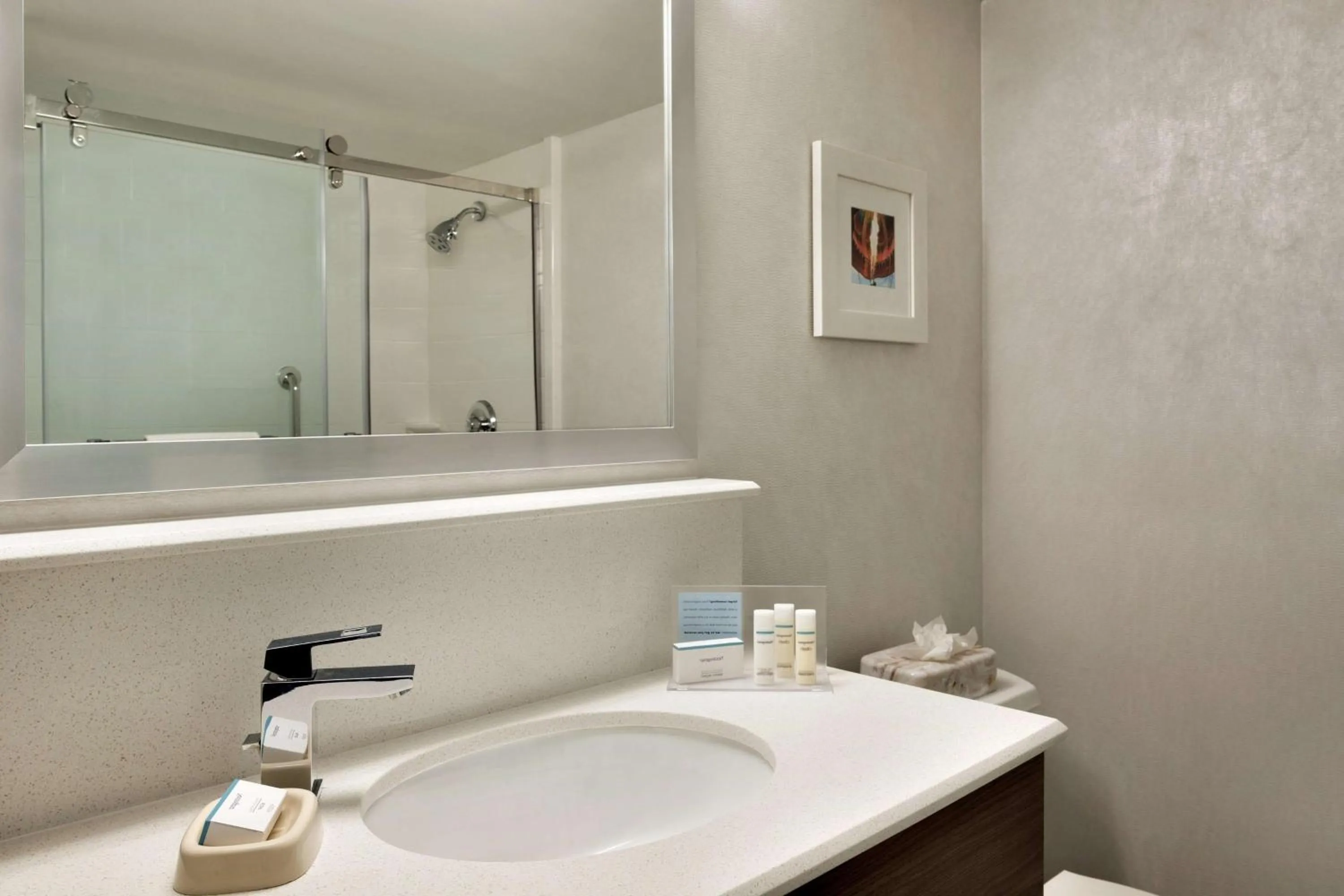 Bathroom in Hampton Inn Philadelphia/Mt. Laurel