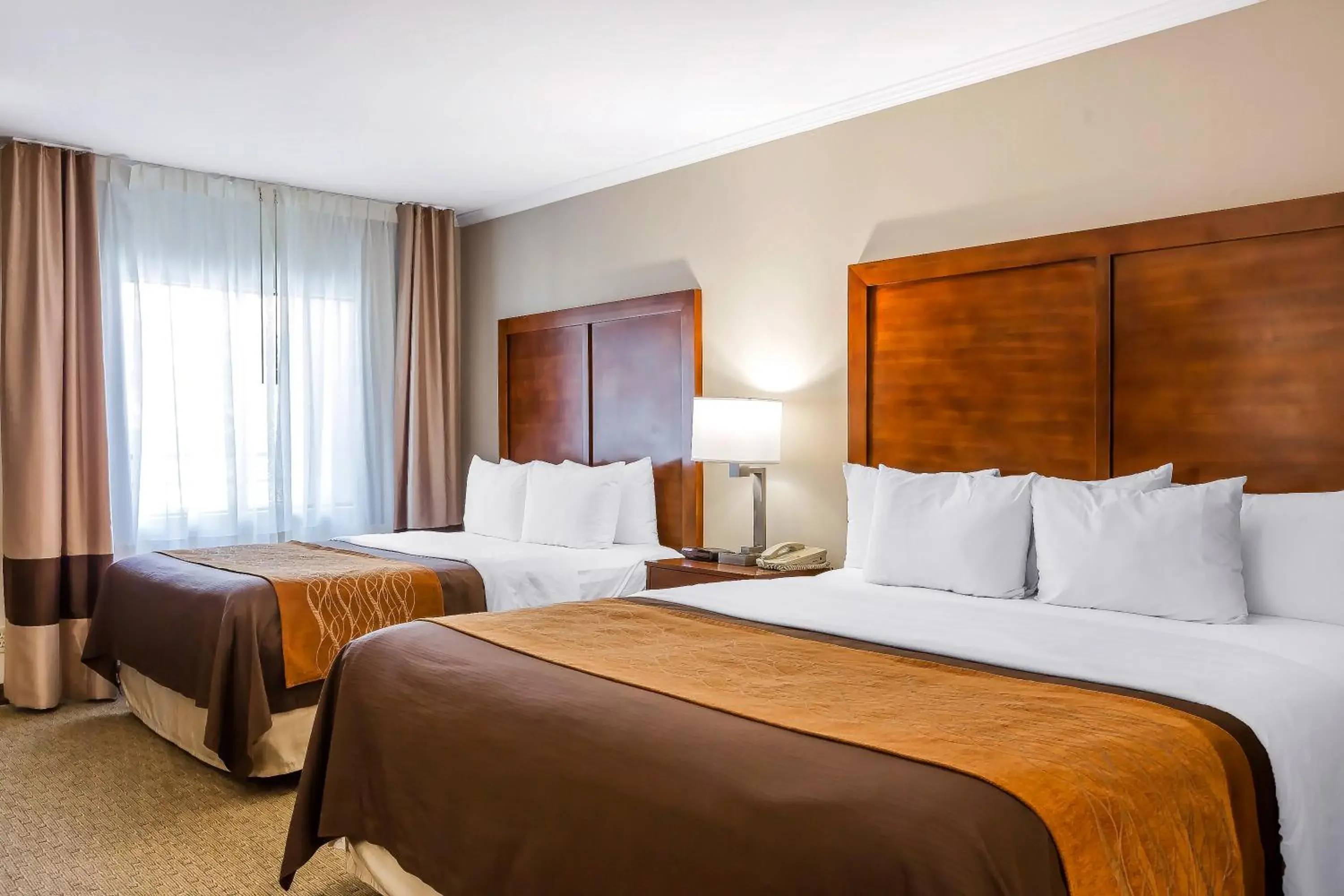 Standard Room, 1 King Bed and 1 Queen Bed, Non Smoking in Comfort Inn Santa Monica - West Los Angeles Standard Room, 1 King Bed and 1 Queen Bed, Non Smoking in Comfort Inn Santa Monica - West Los Angeles