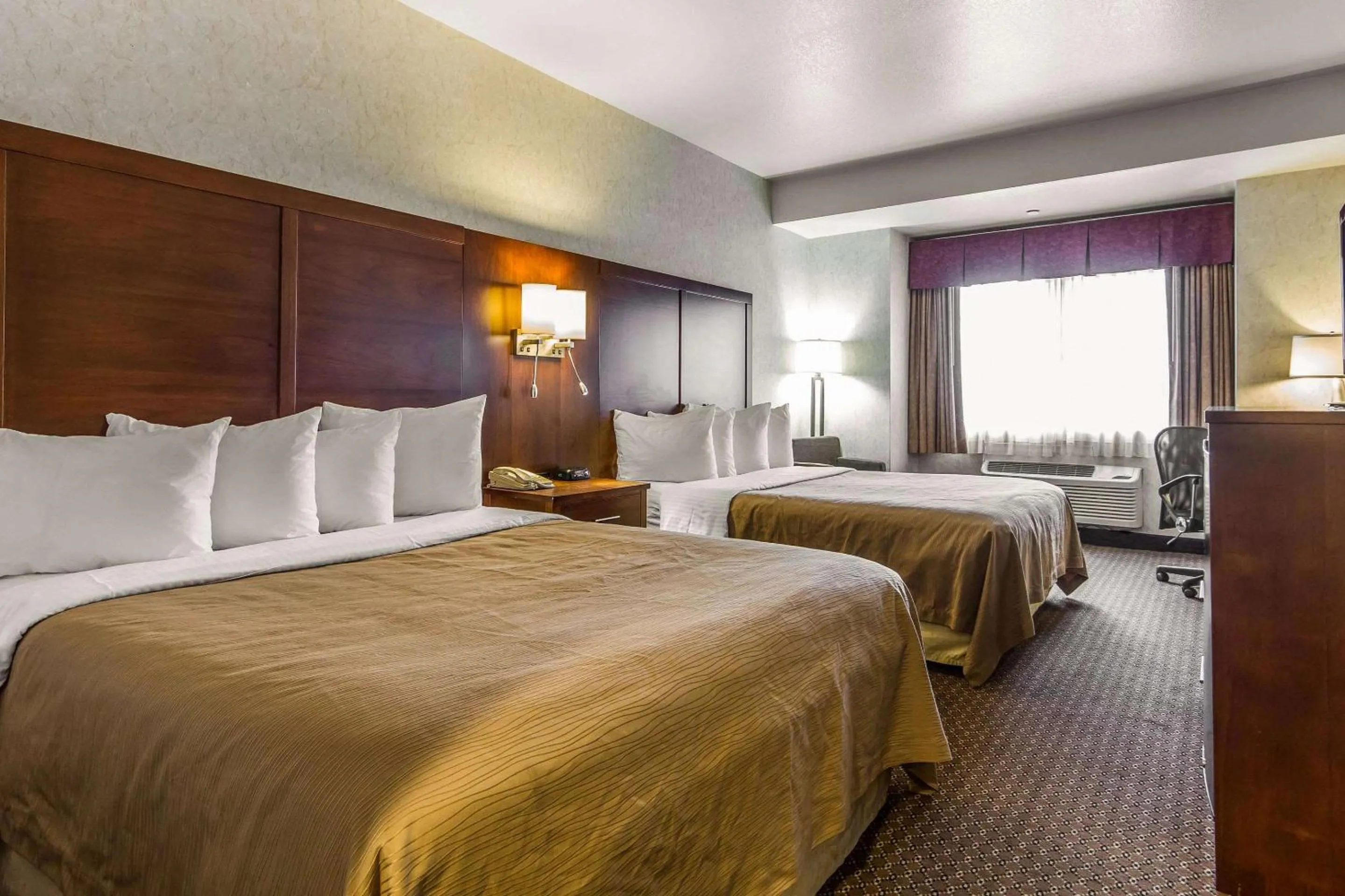 Photo of the whole room, Bed in Quality Inn