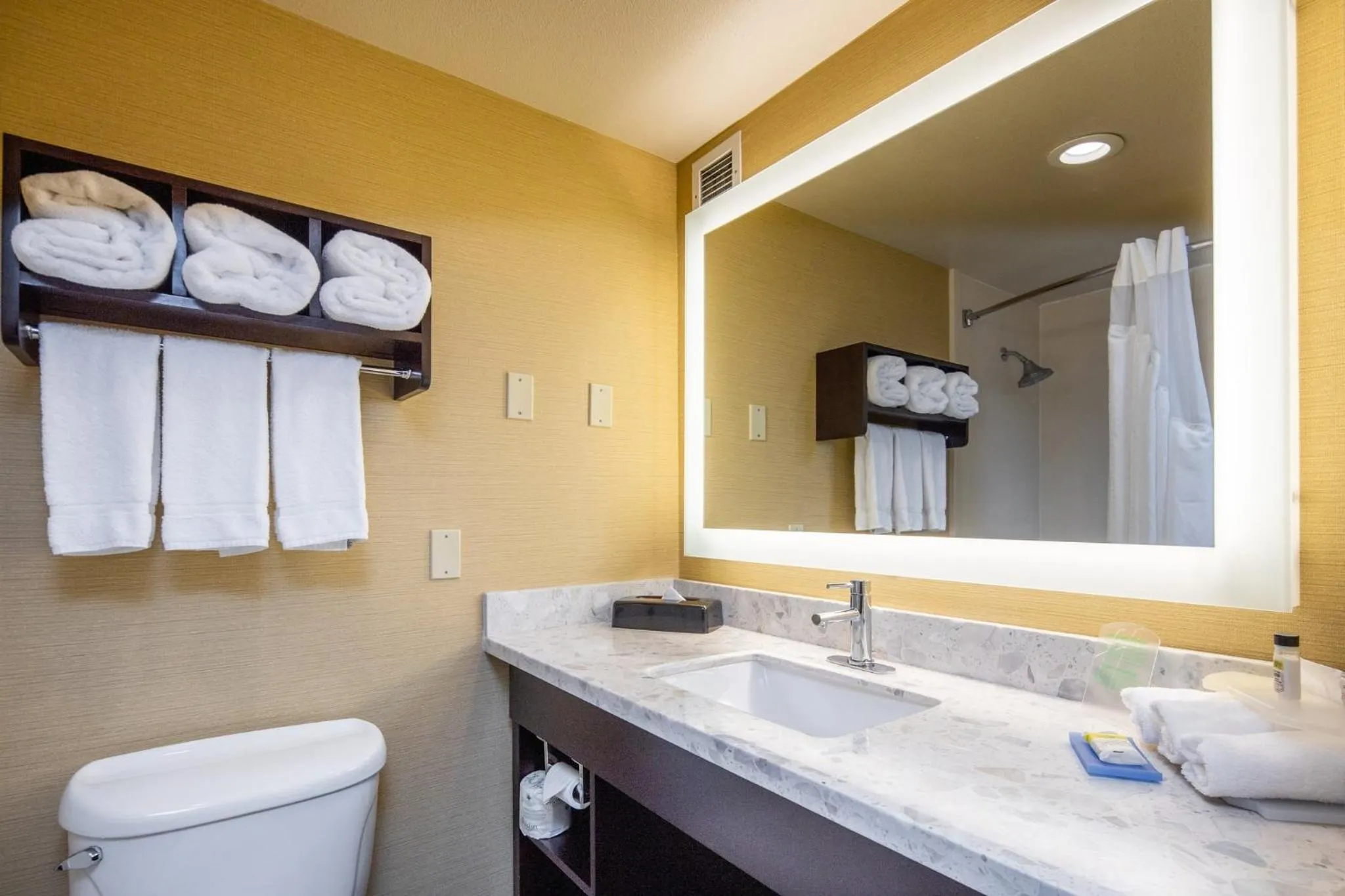 Bathroom in Holiday Inn Express Castro Valley - I-580 by IHG