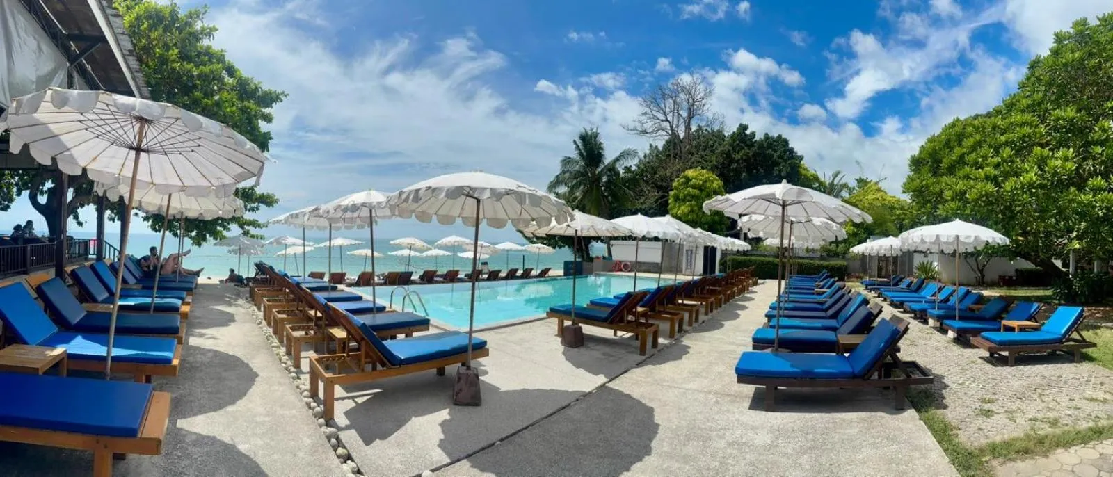 Swimming pool in The Hive Hotel