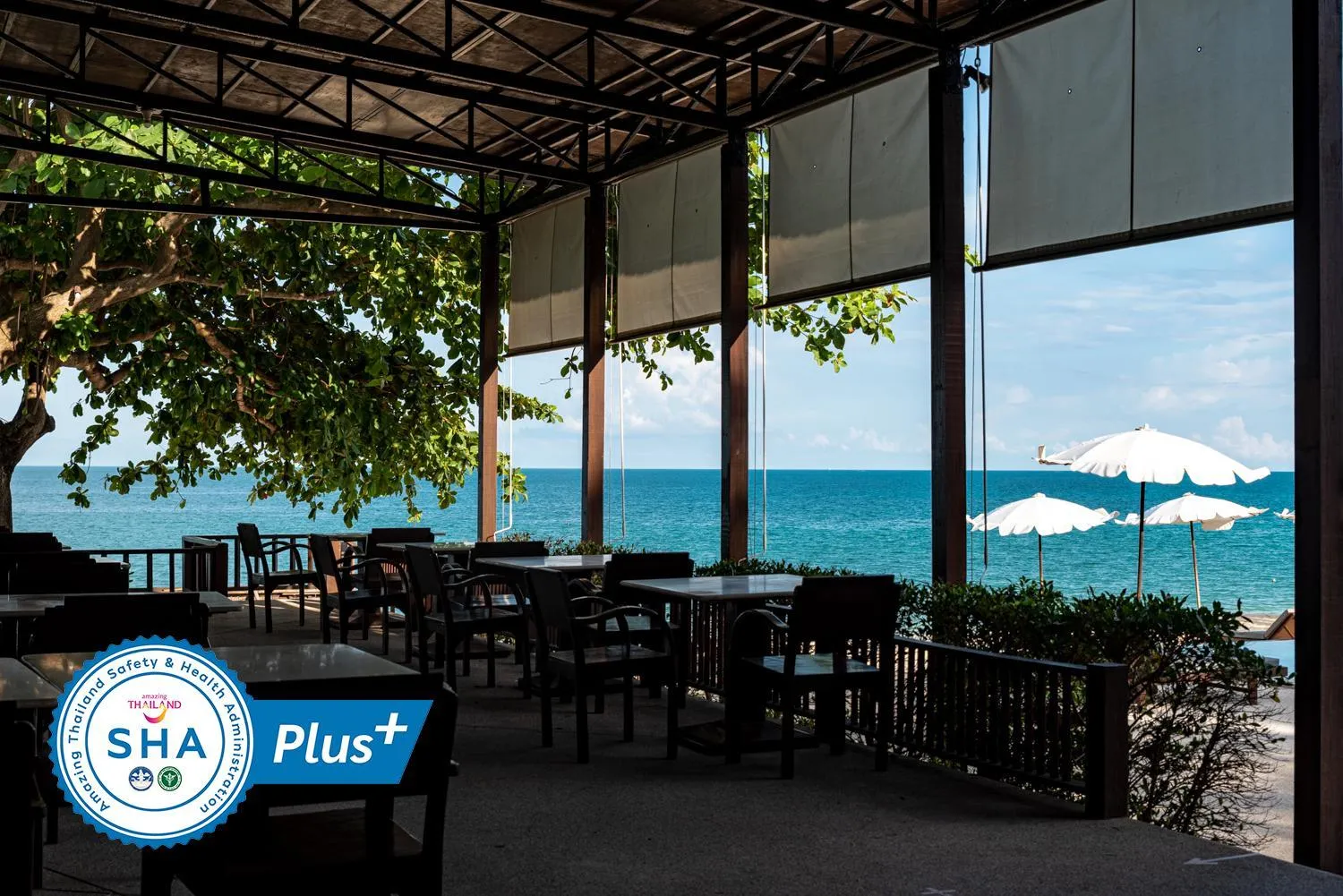 Restaurant/places to eat in The Hive Hotel