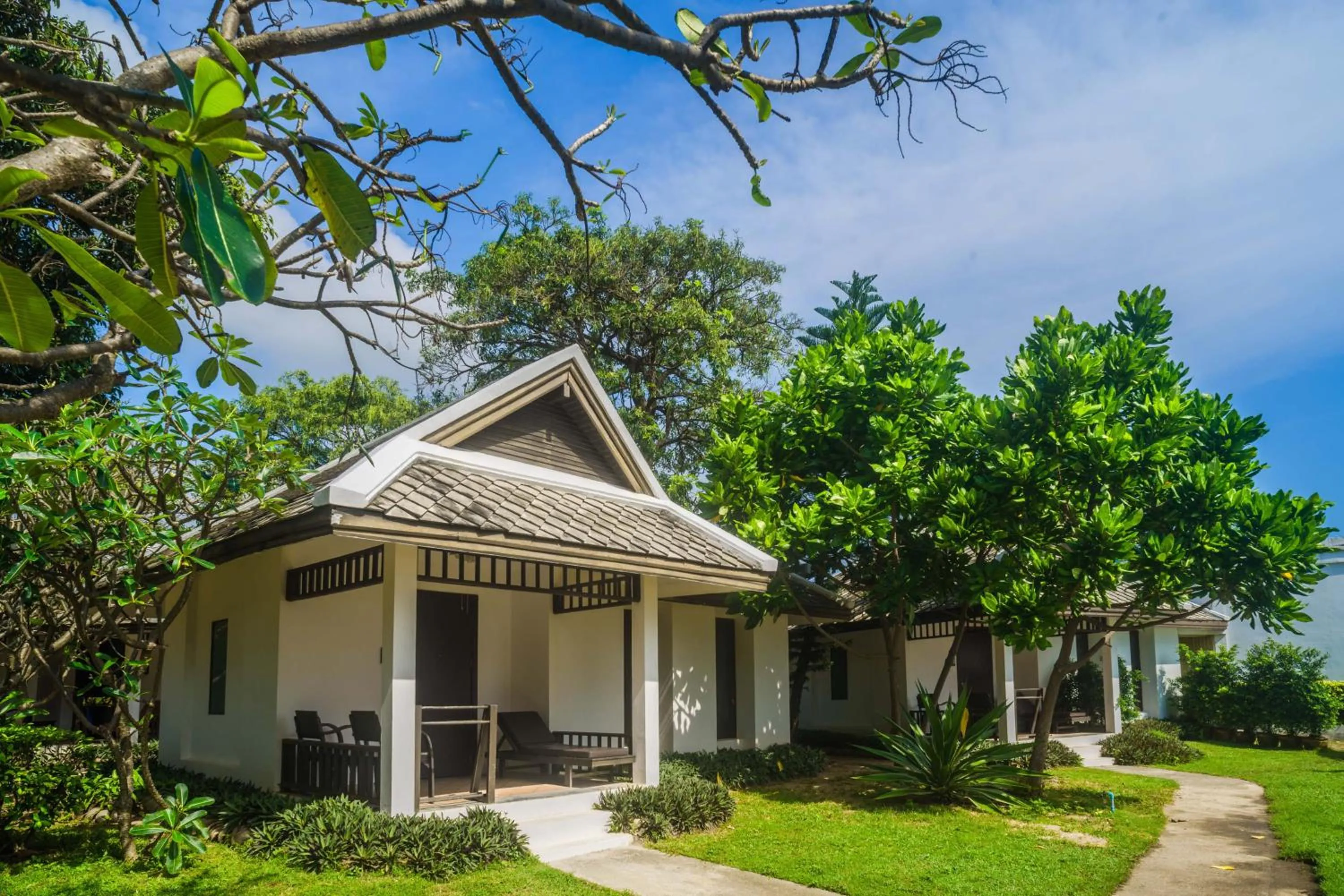 Natural landscape in The Hive Hotel