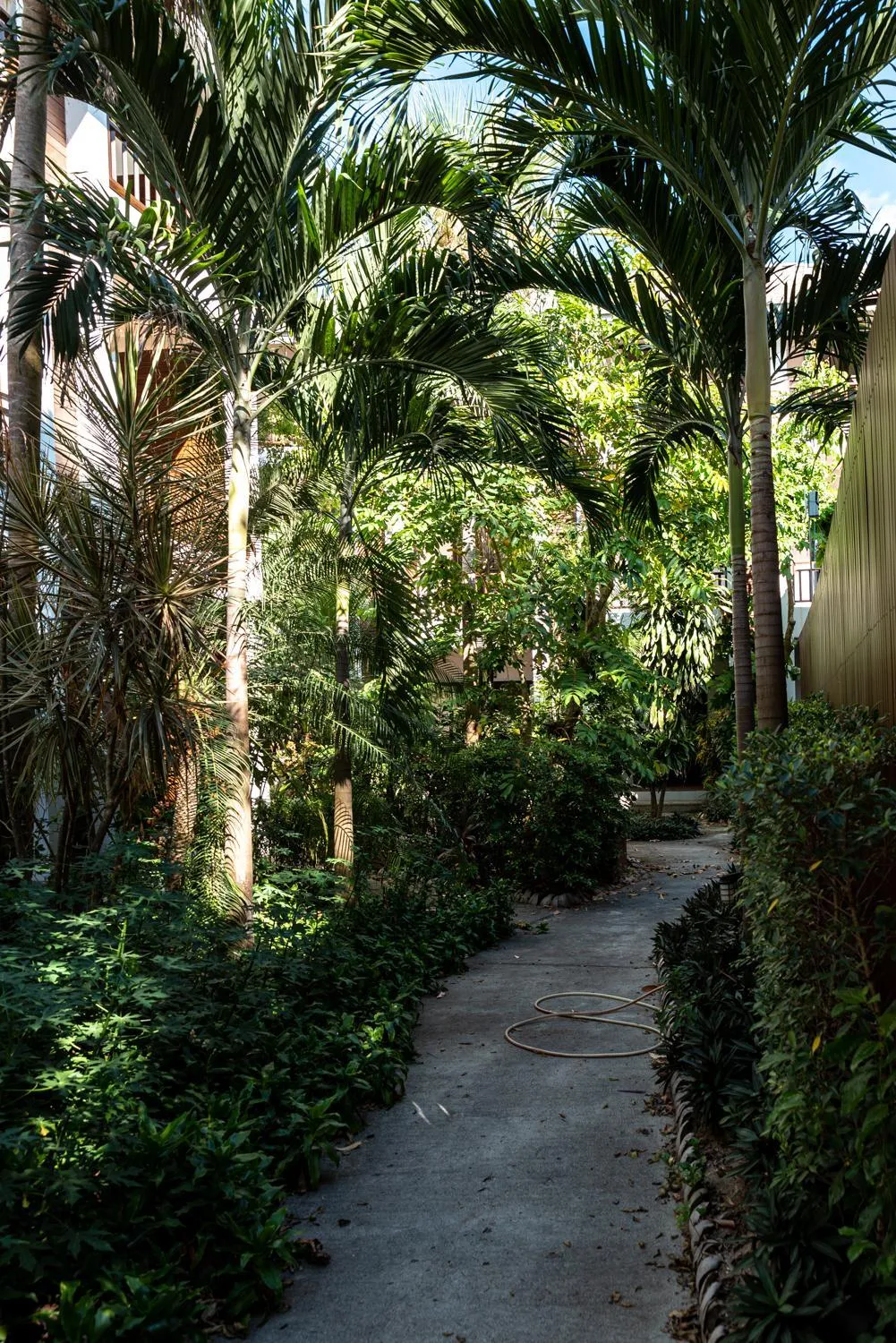 Garden in The Hive Hotel