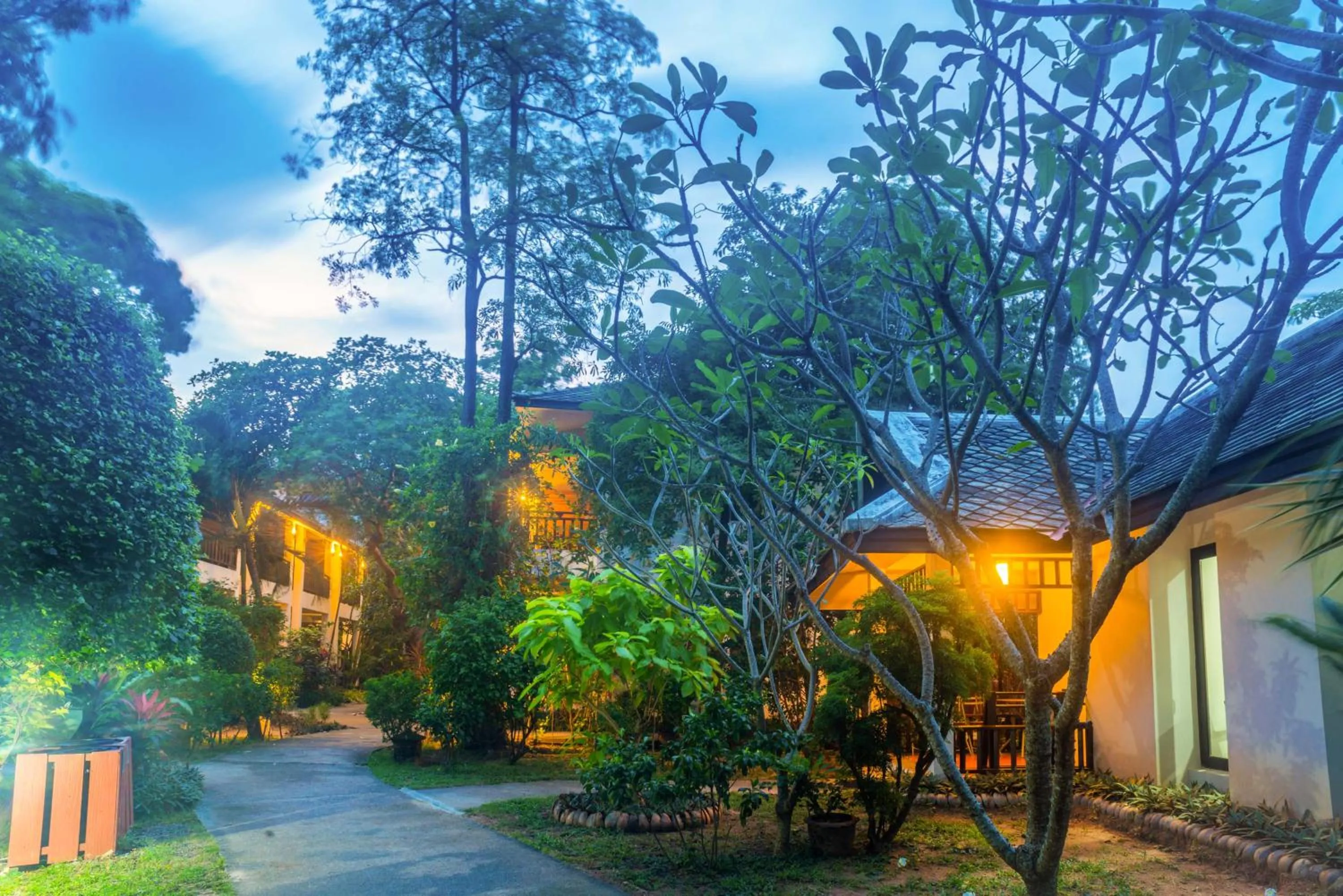 Natural landscape in The Hive Hotel