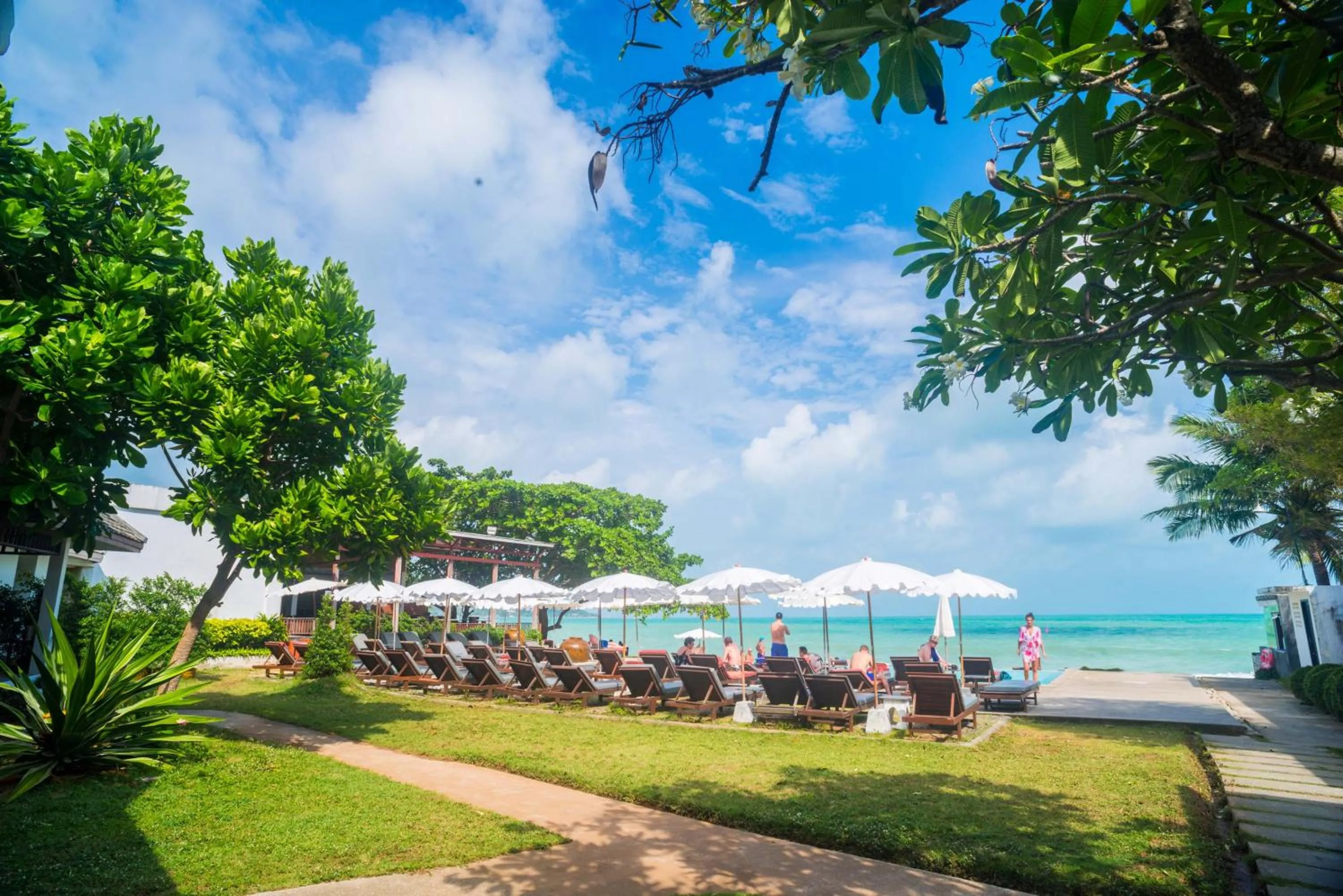 Beach in The Hive Hotel