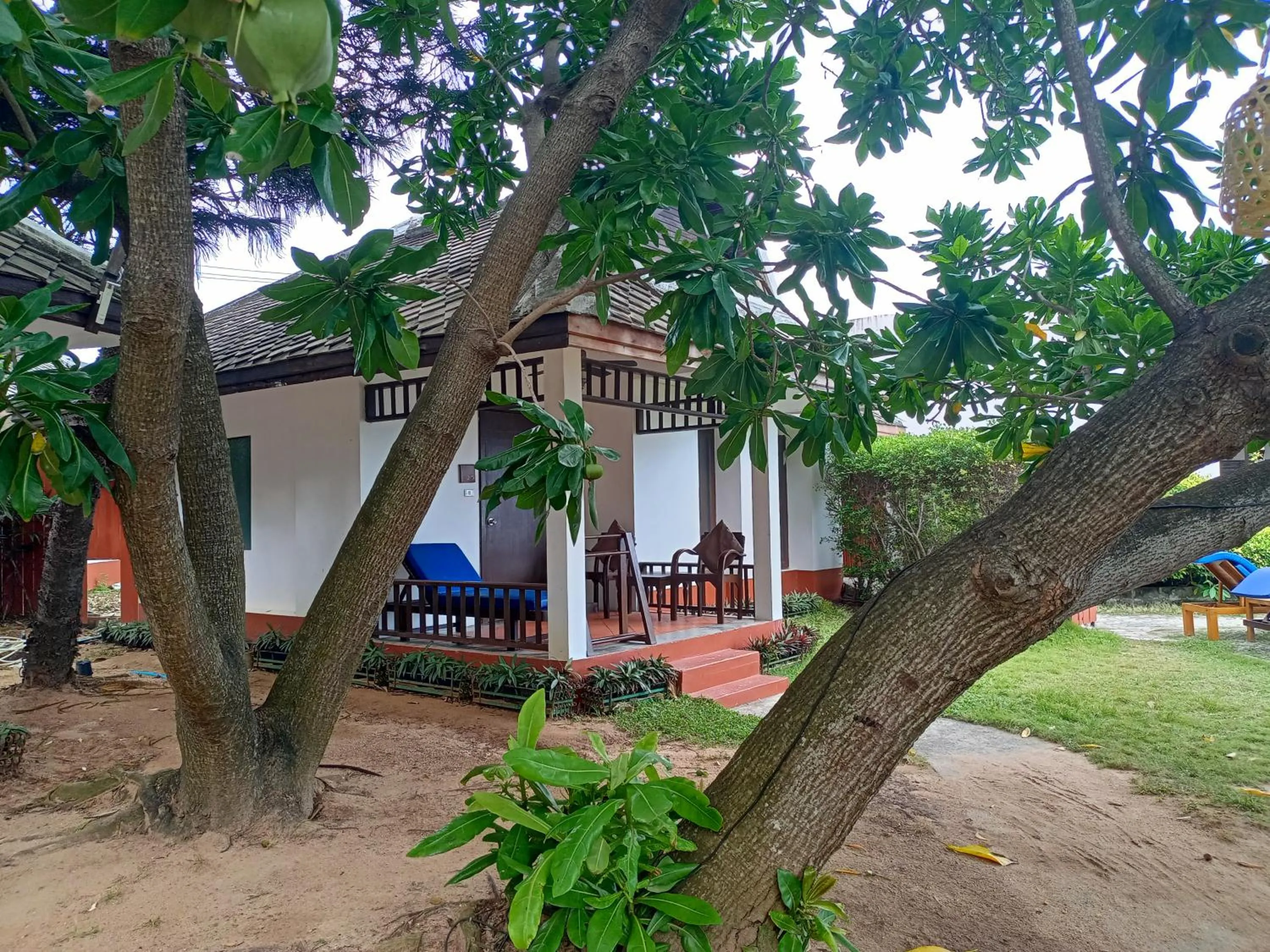 Garden view in The Hive Hotel