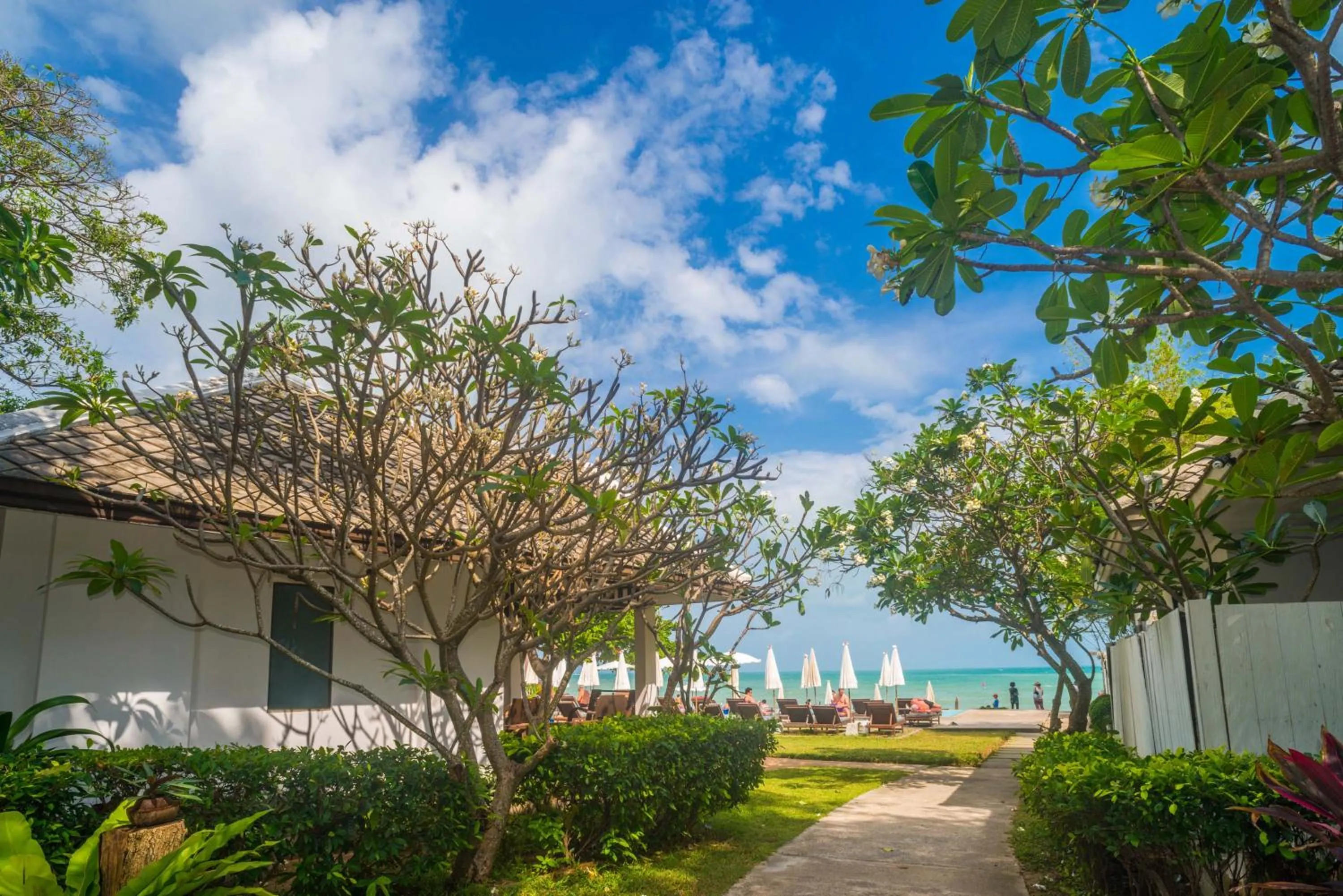 Beach in The Hive Hotel
