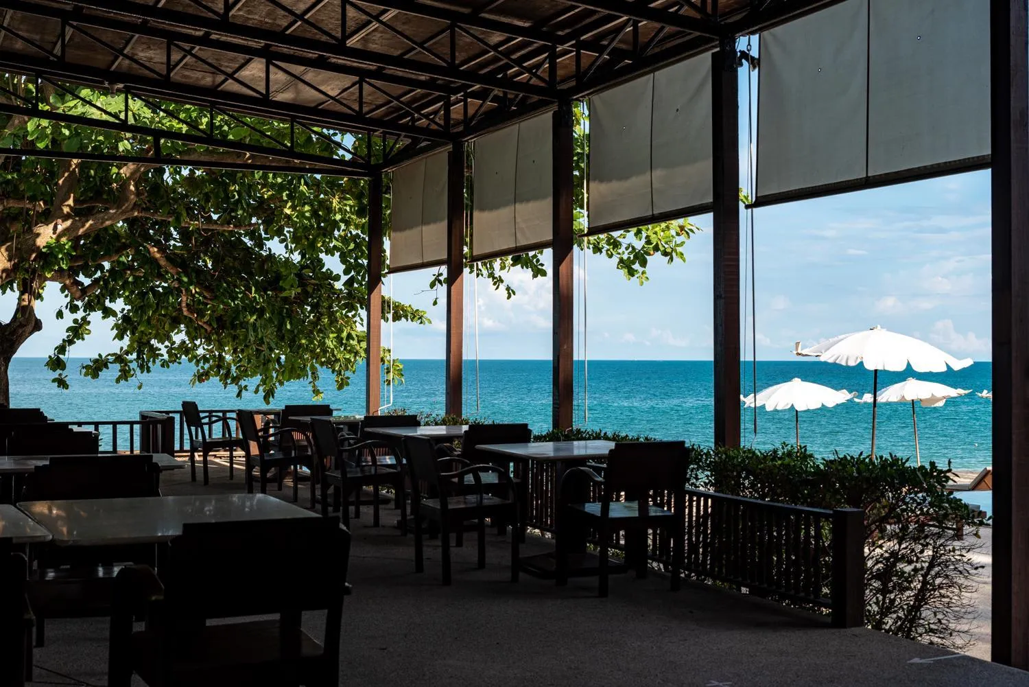 Restaurant/places to eat in The Hive Hotel