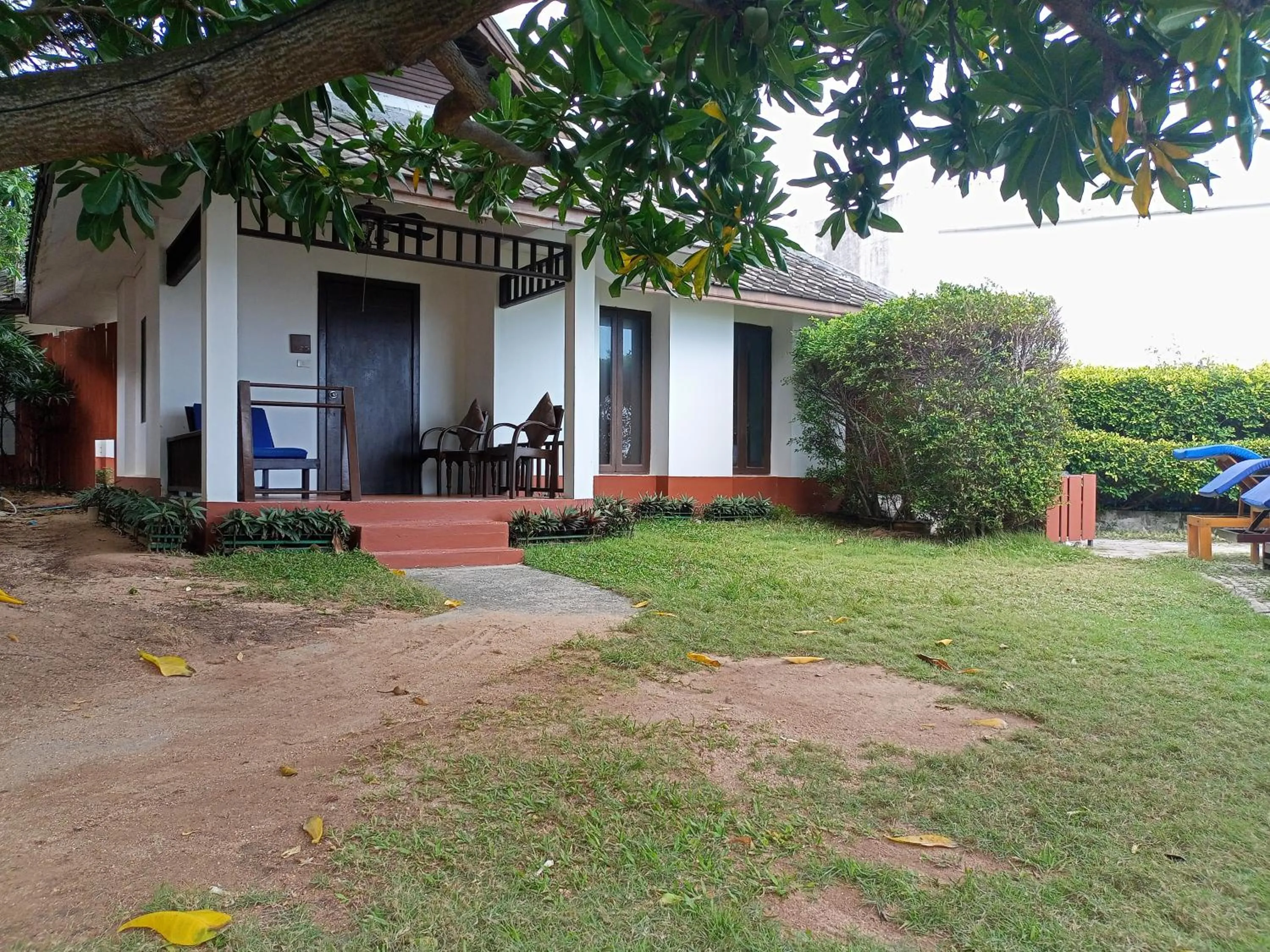 Garden in The Hive Hotel