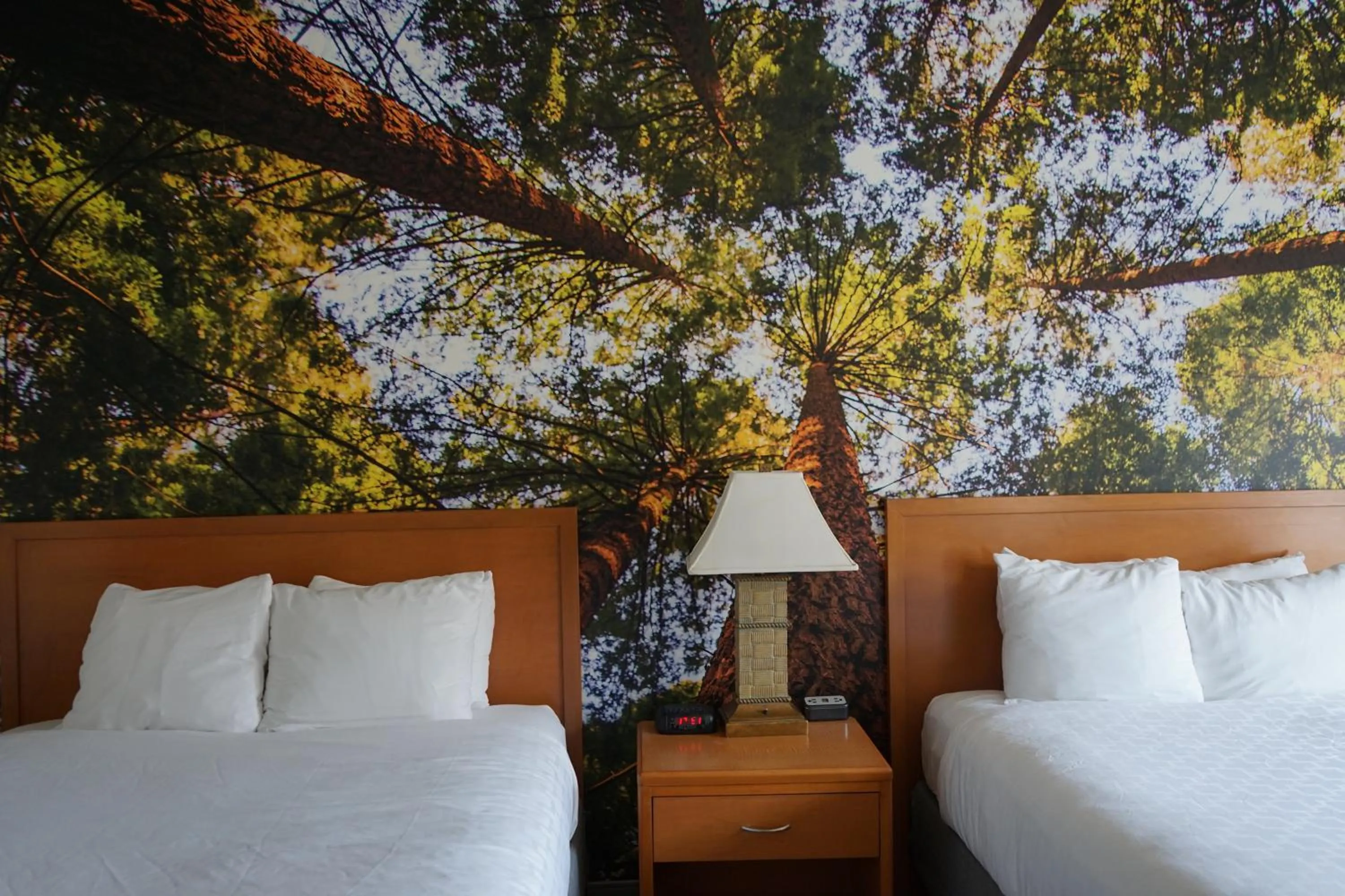 Bed in The Hanford Hotel