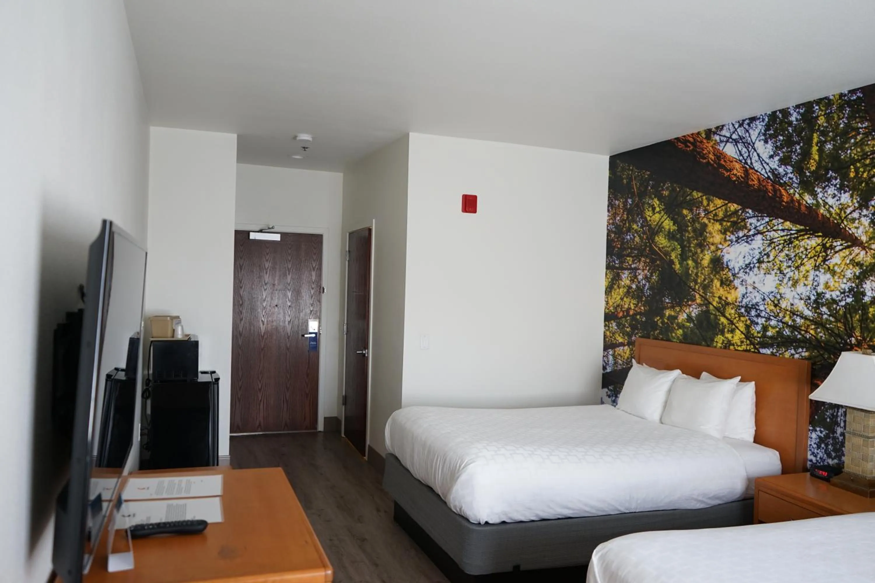 Queen Room with Two Queen Beds - Non Smoking in Comfort Inn Hanford Lemoore