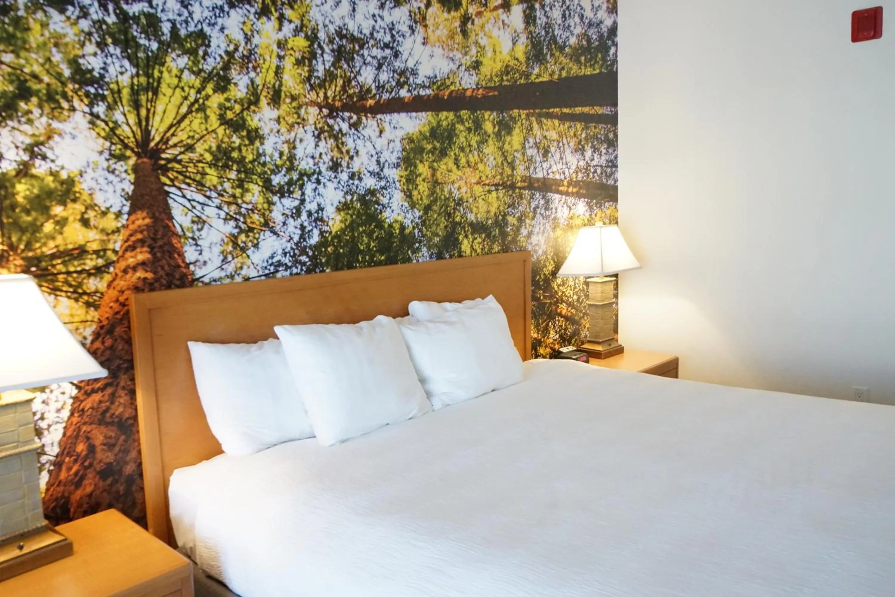 Bed in The Hanford Hotel