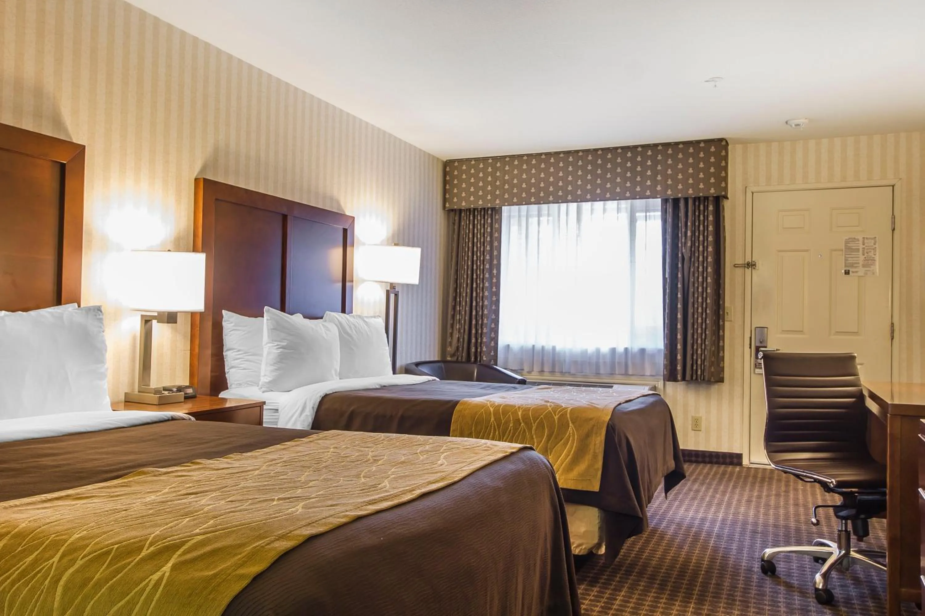 Photo of the whole room, Bed in Quality Inn Half Moon Bay-Miramar Beach