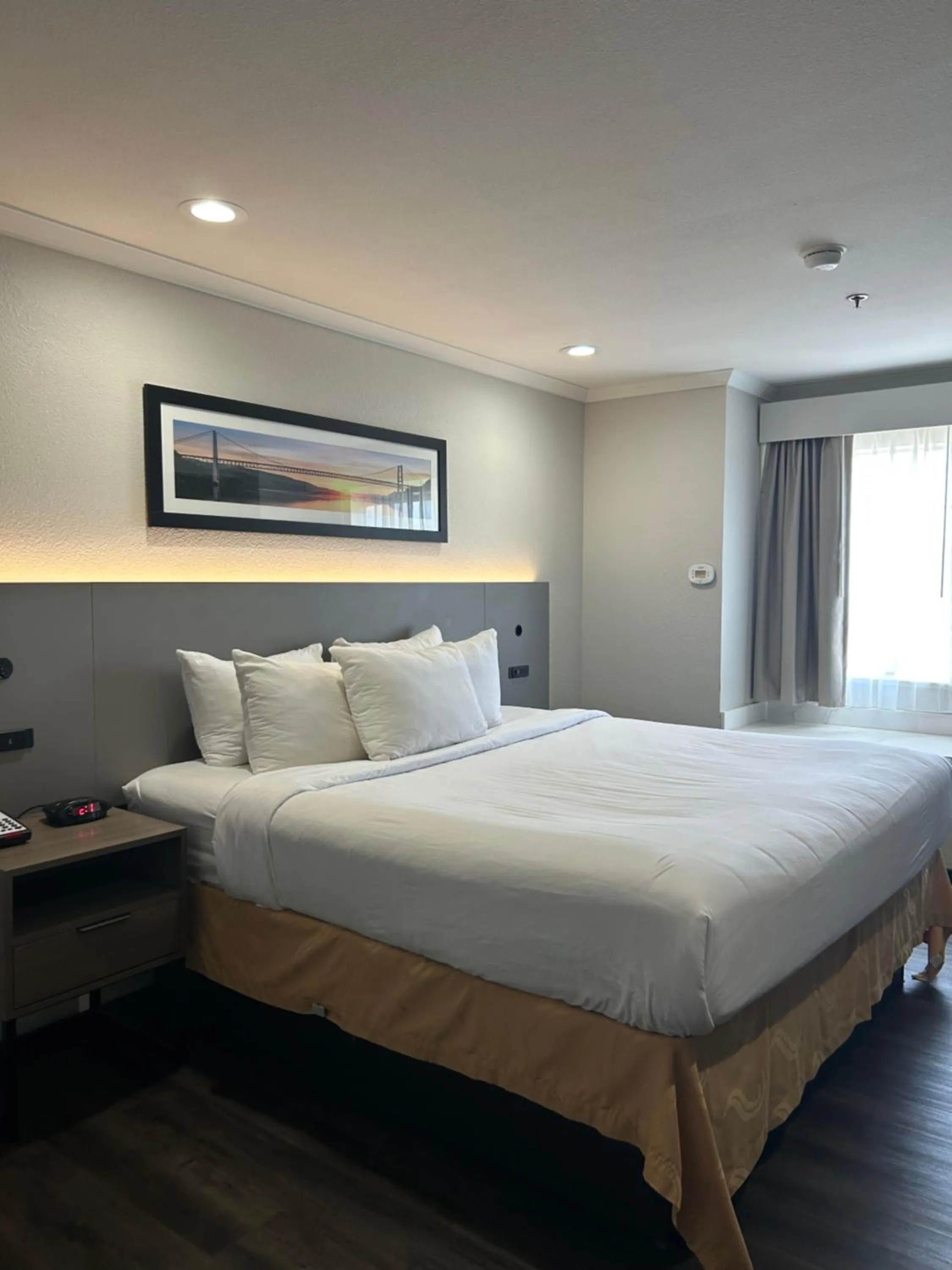 Bedroom, Bed in Quality Inn & Suites Santa Rosa South