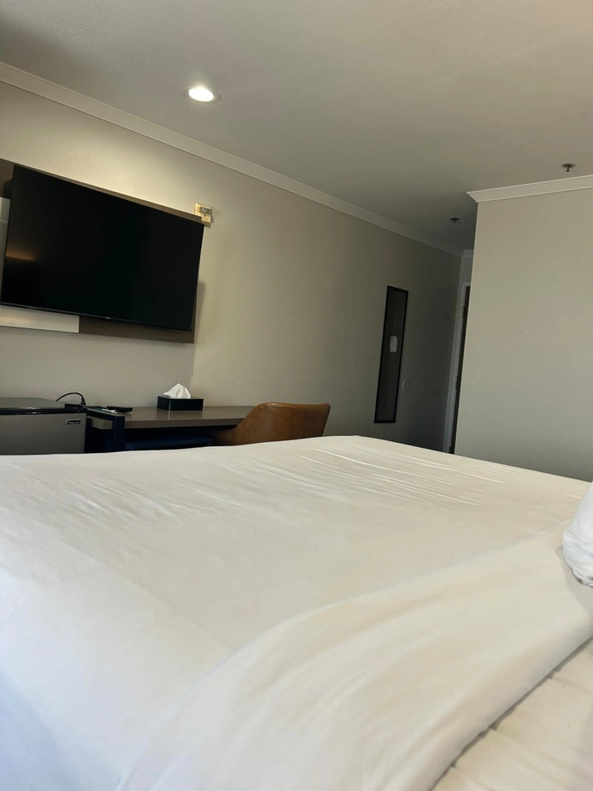 Bedroom, Bed in Quality Inn & Suites Santa Rosa South