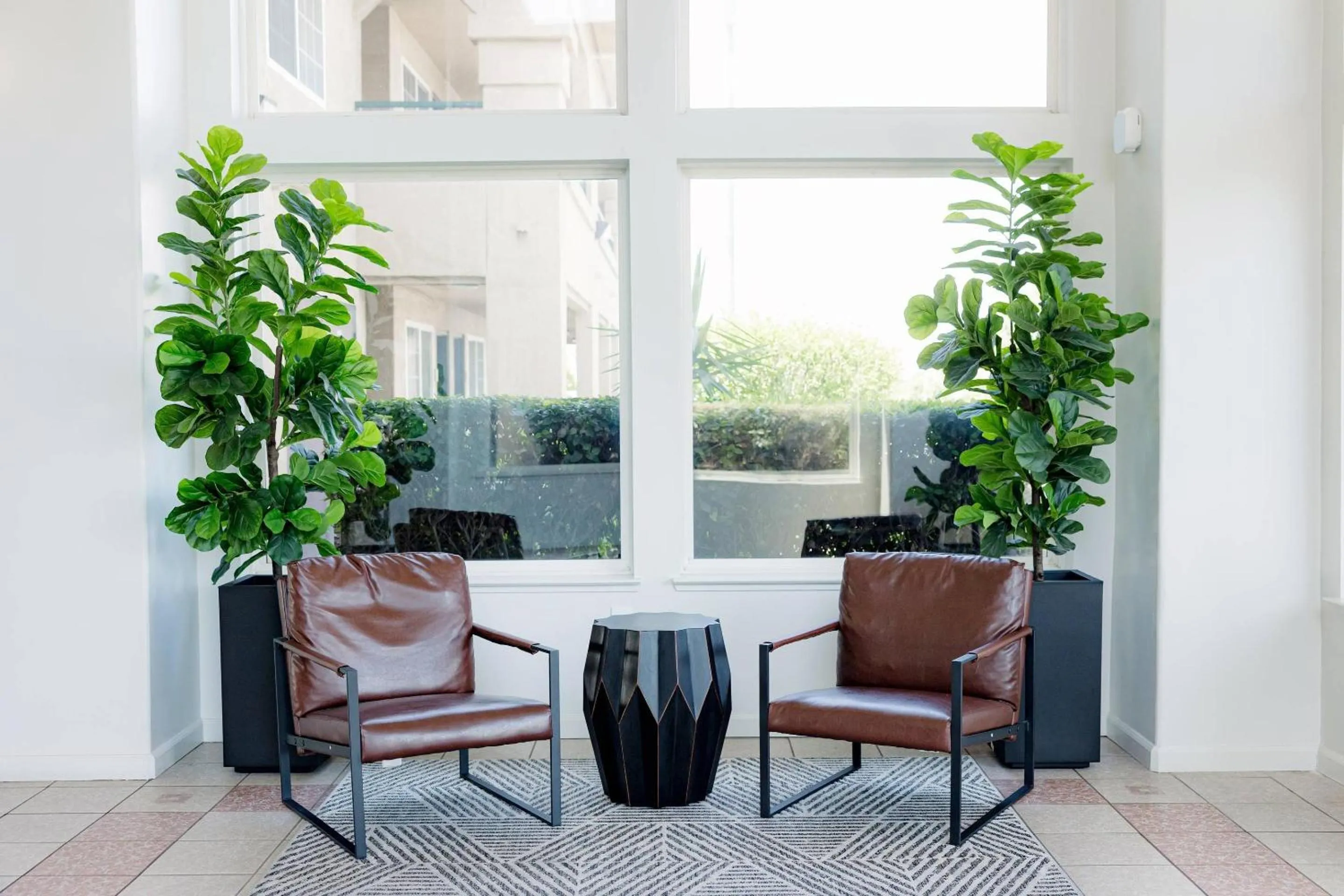 Lobby or reception in Quality Inn & Suites Lathrop