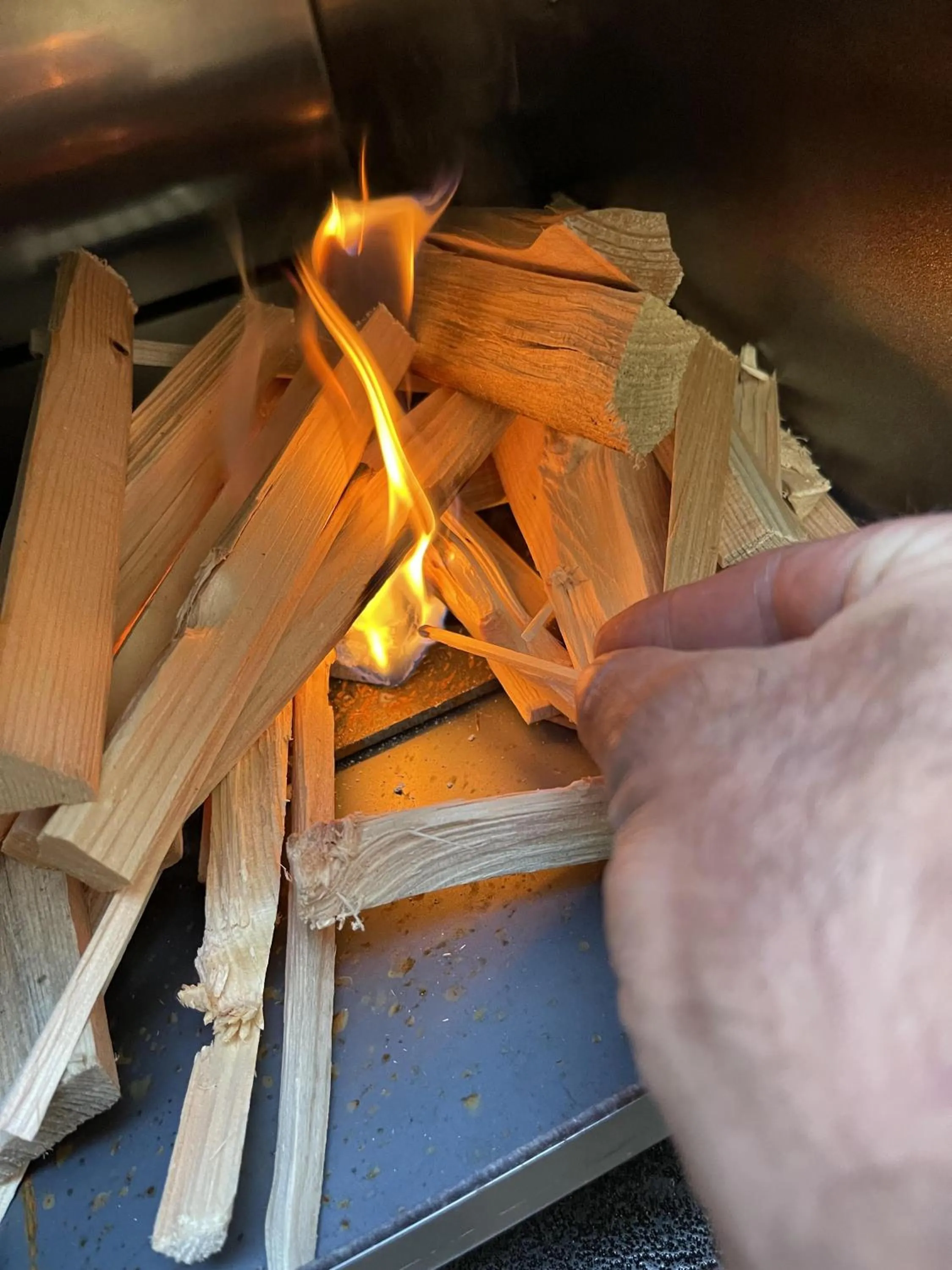 Garden in The White Horse Inn