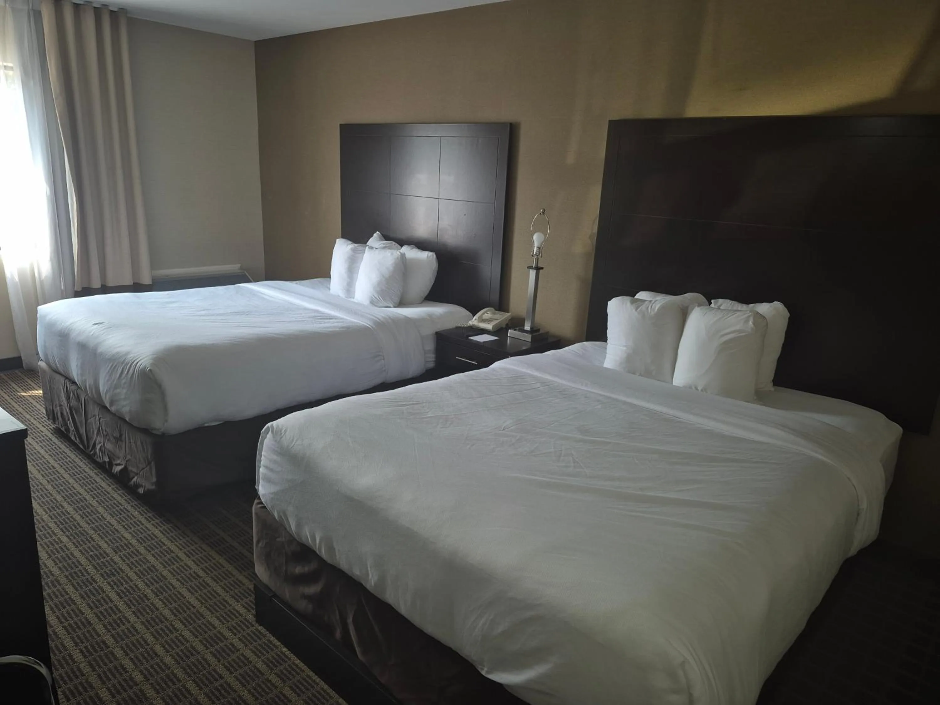 Bedroom, Bed in Comfort Inn