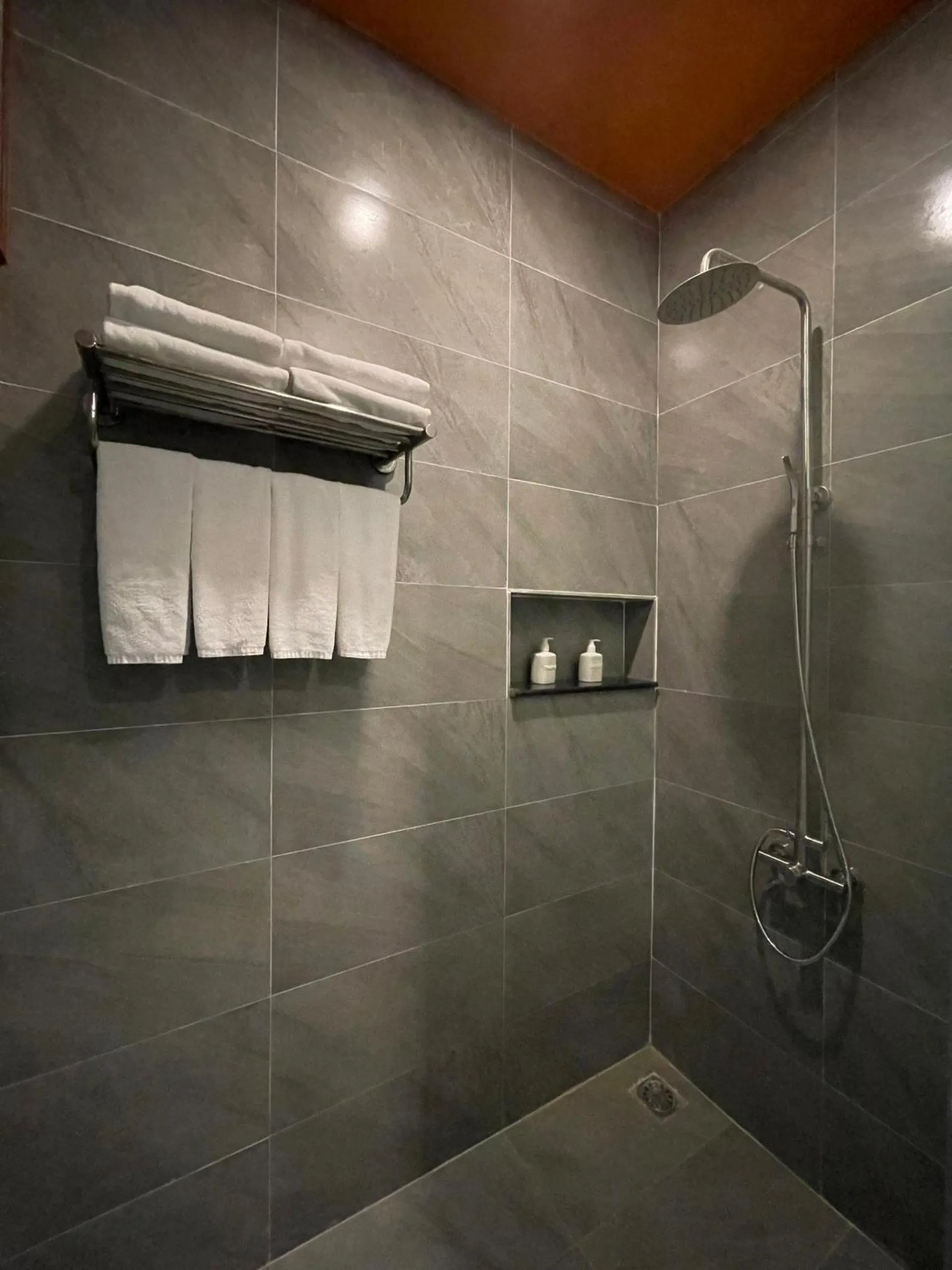Shower in BaHo Eco Beat