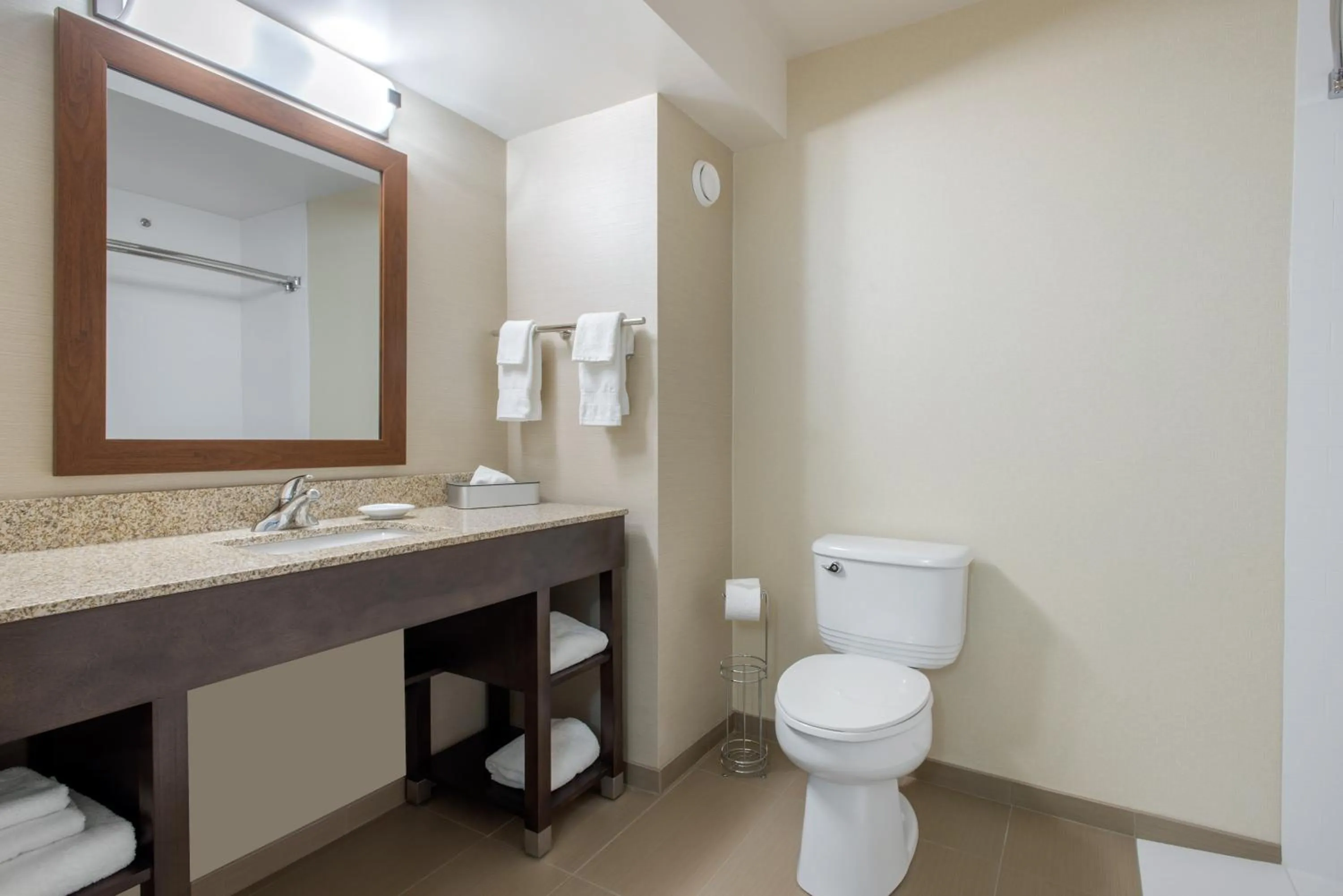 Toilet in Comfort Inn & Suites