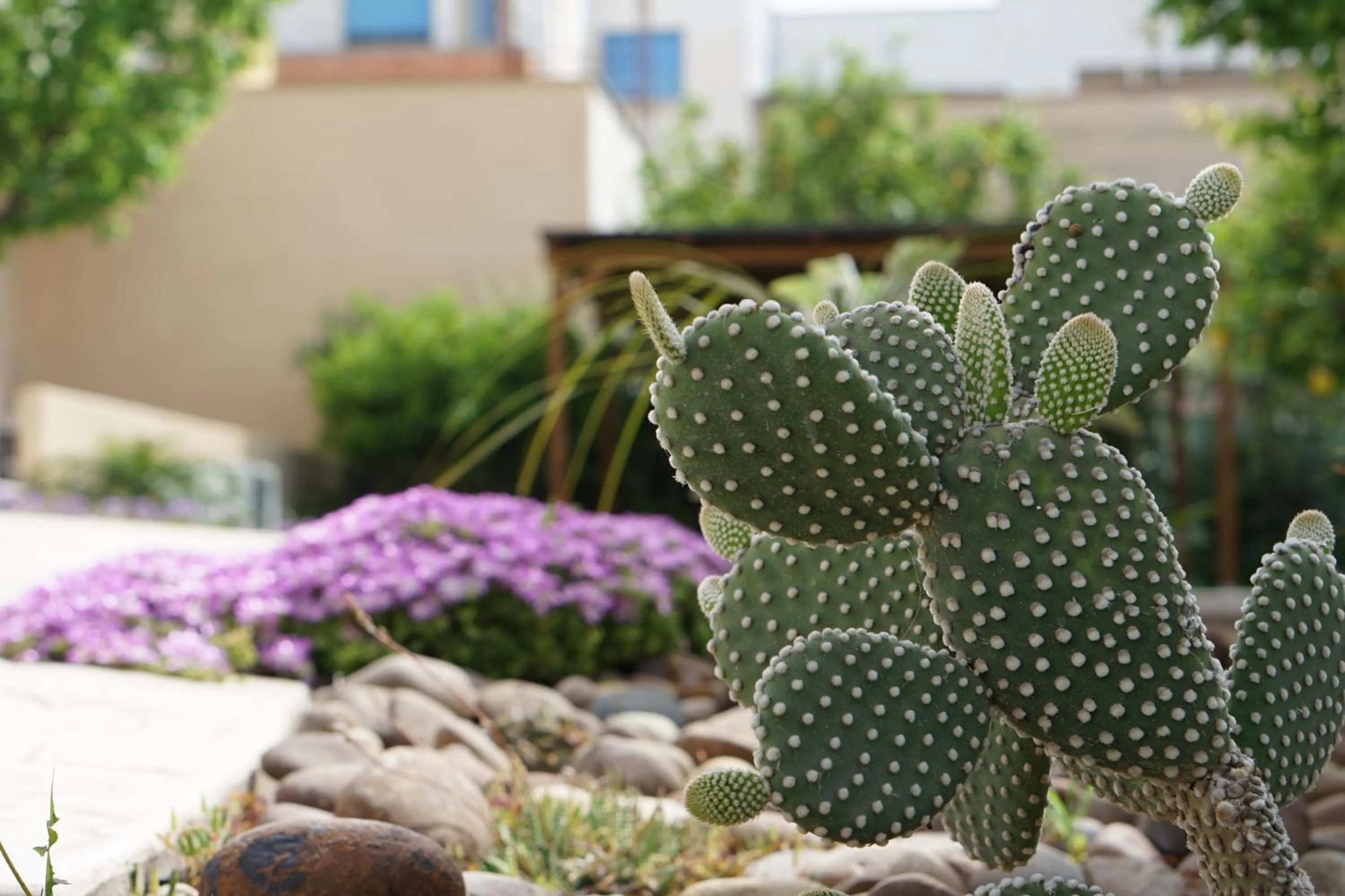 Garden view in B&B Milena