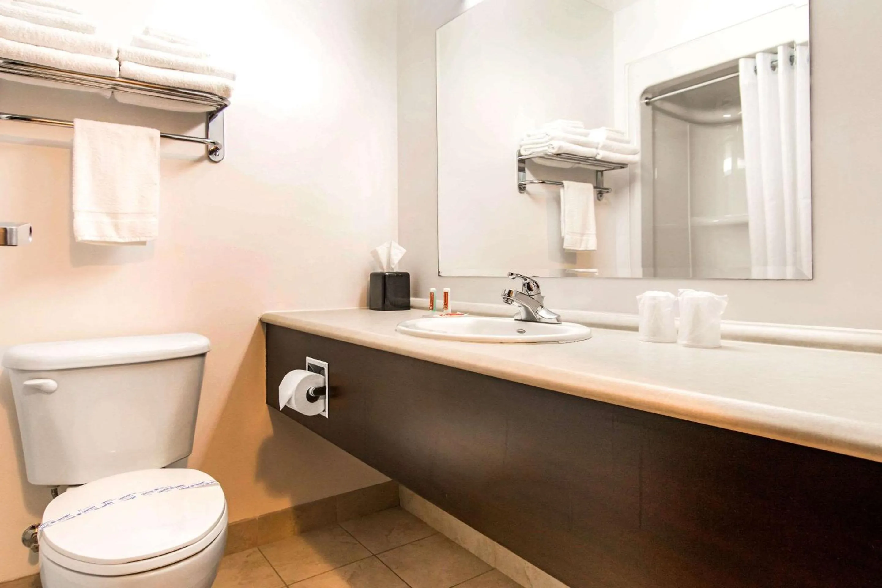 Bathroom in Econo Lodge Inn & Suites