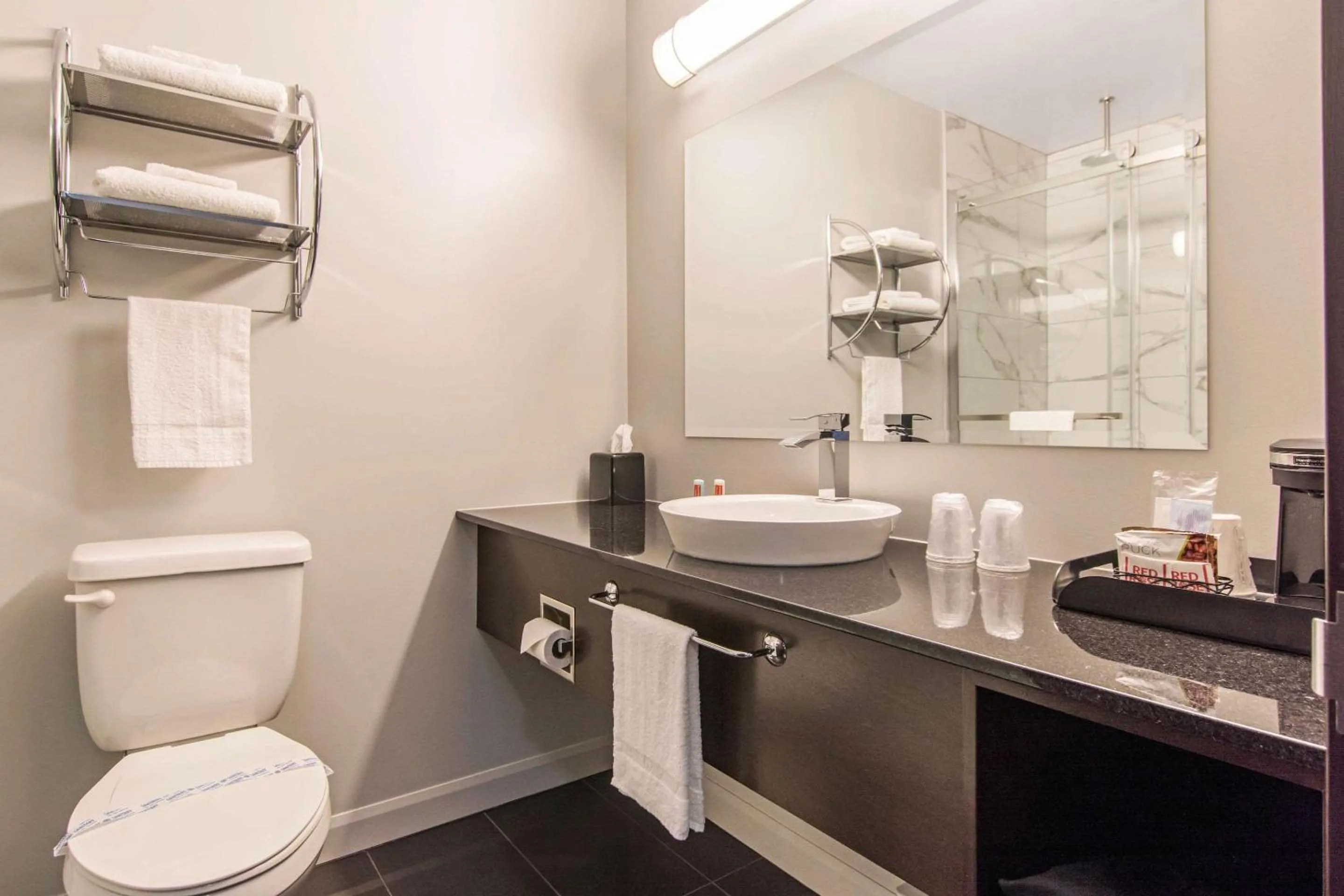 Bathroom in Econo Lodge Inn & Suites