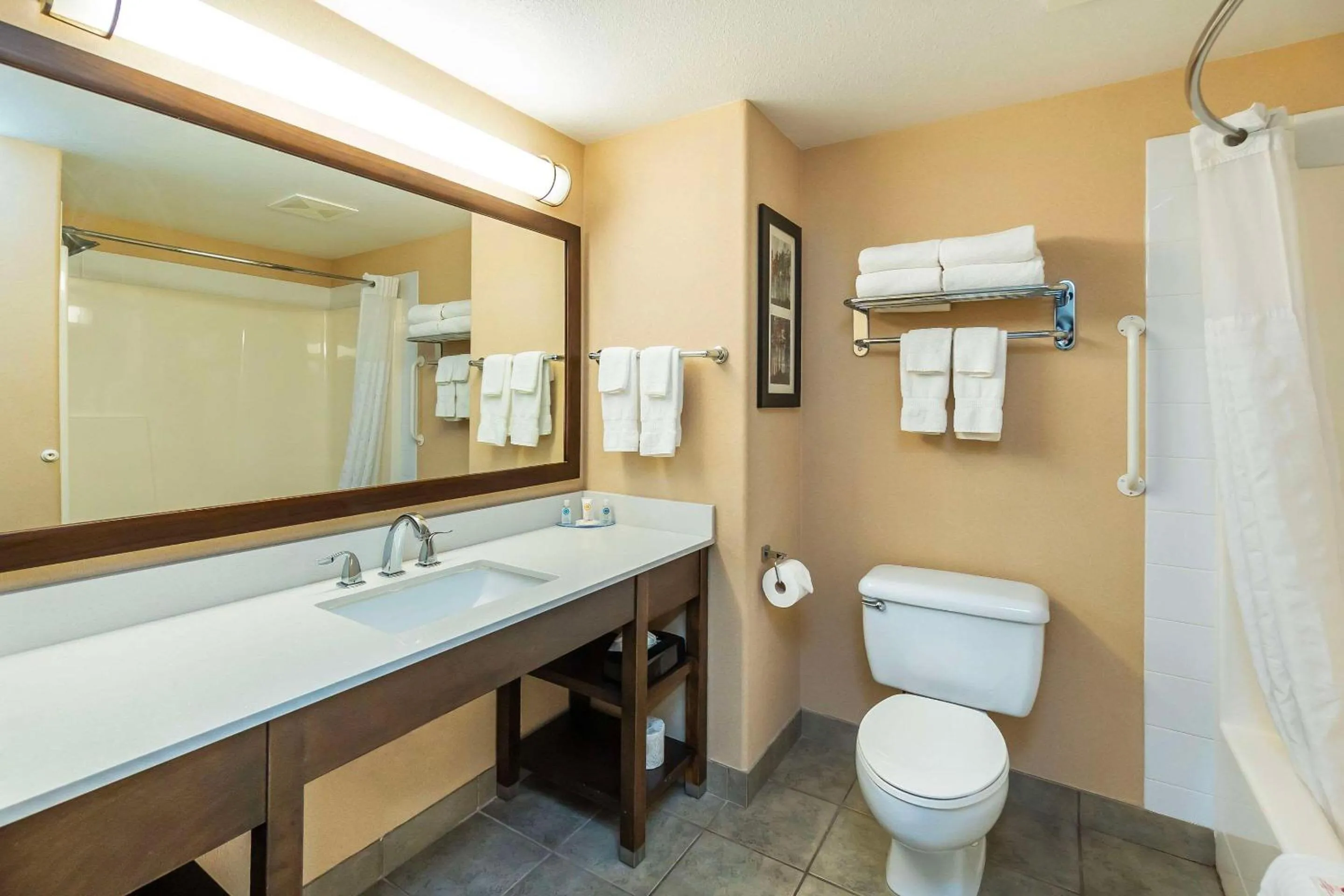 Toilet in Comfort Inn & Suites