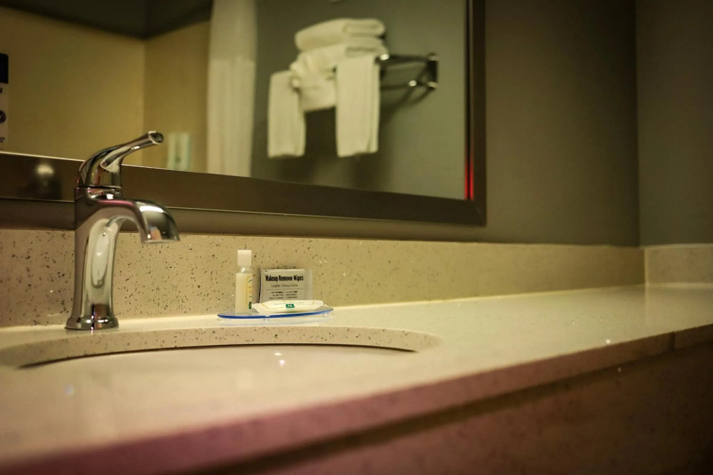 Shower in Quality Inn Colorado Springs Airport