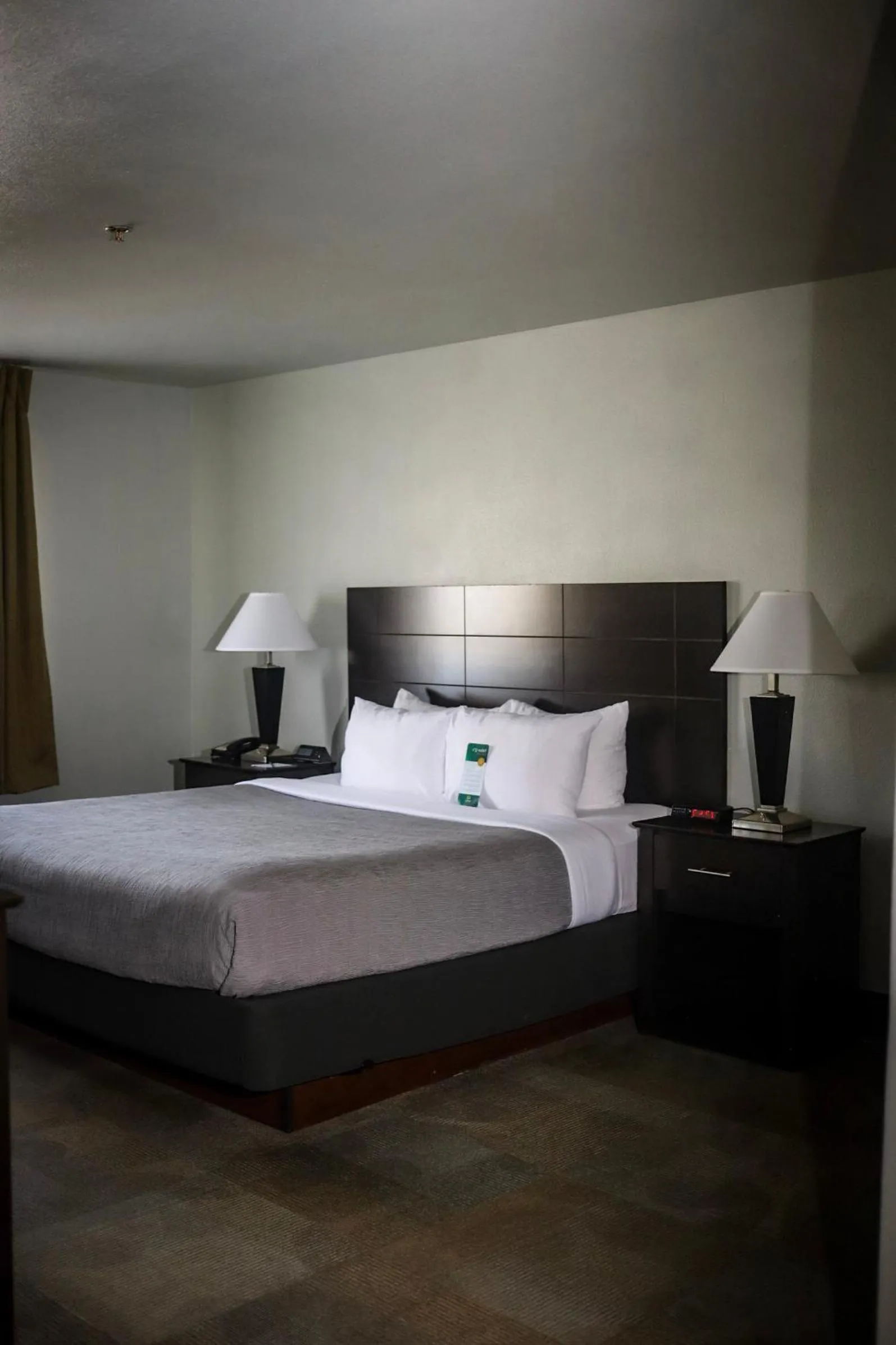 Bed in Quality Inn Colorado Springs Airport