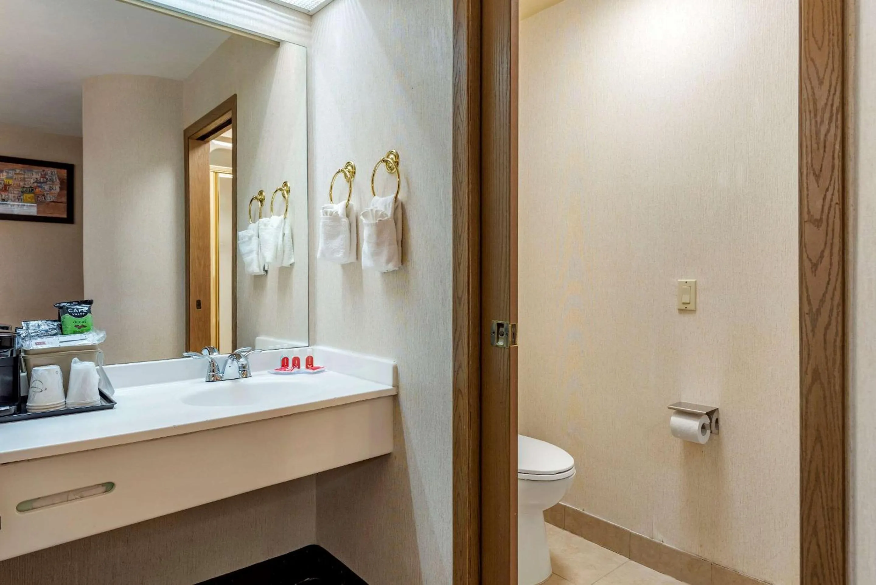 Bathroom in Econo Lodge North Academy