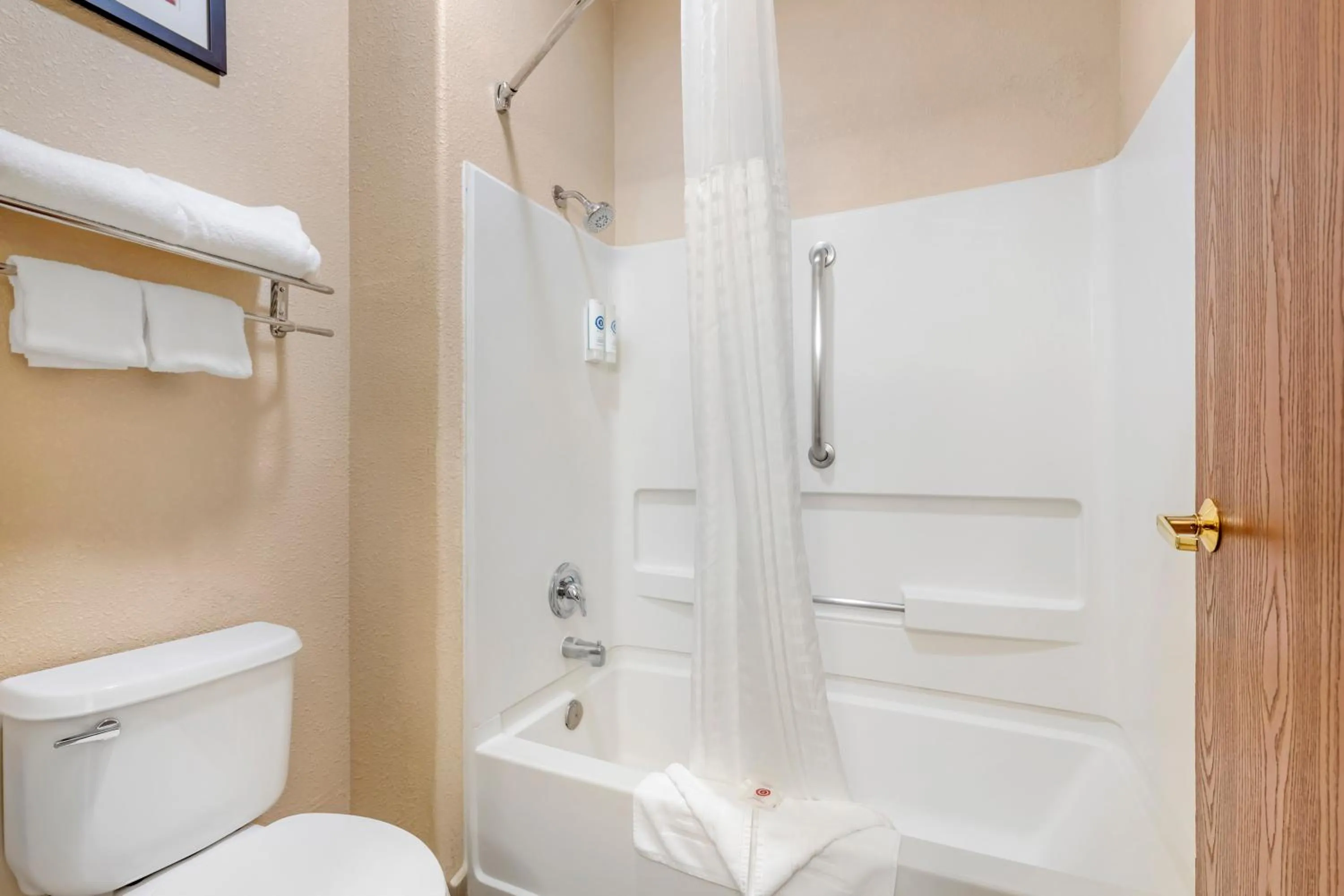 Shower in Comfort Inn North - Air Force Academy Area