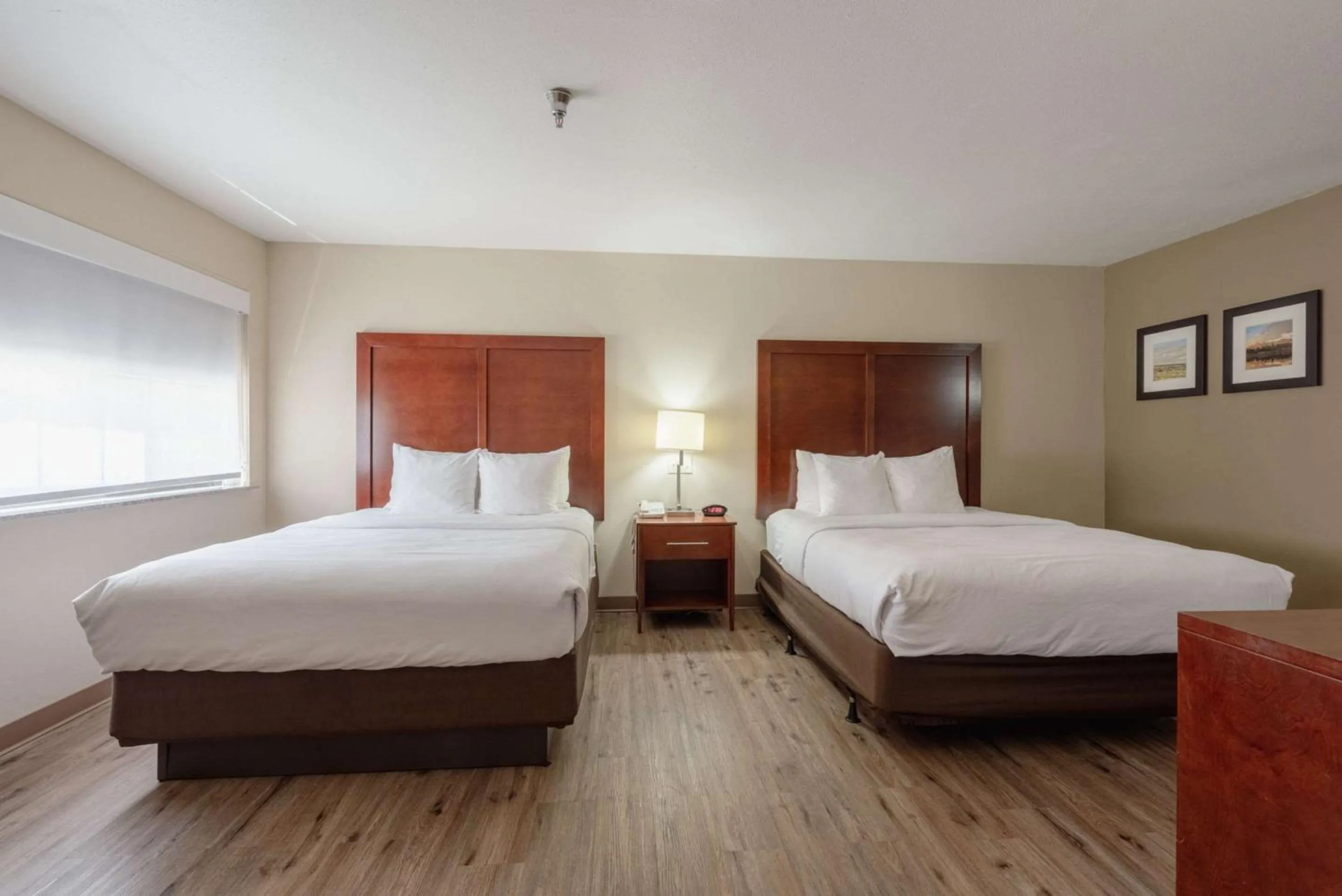 Bedroom, Bed in Comfort Inn & Suites Alamosa