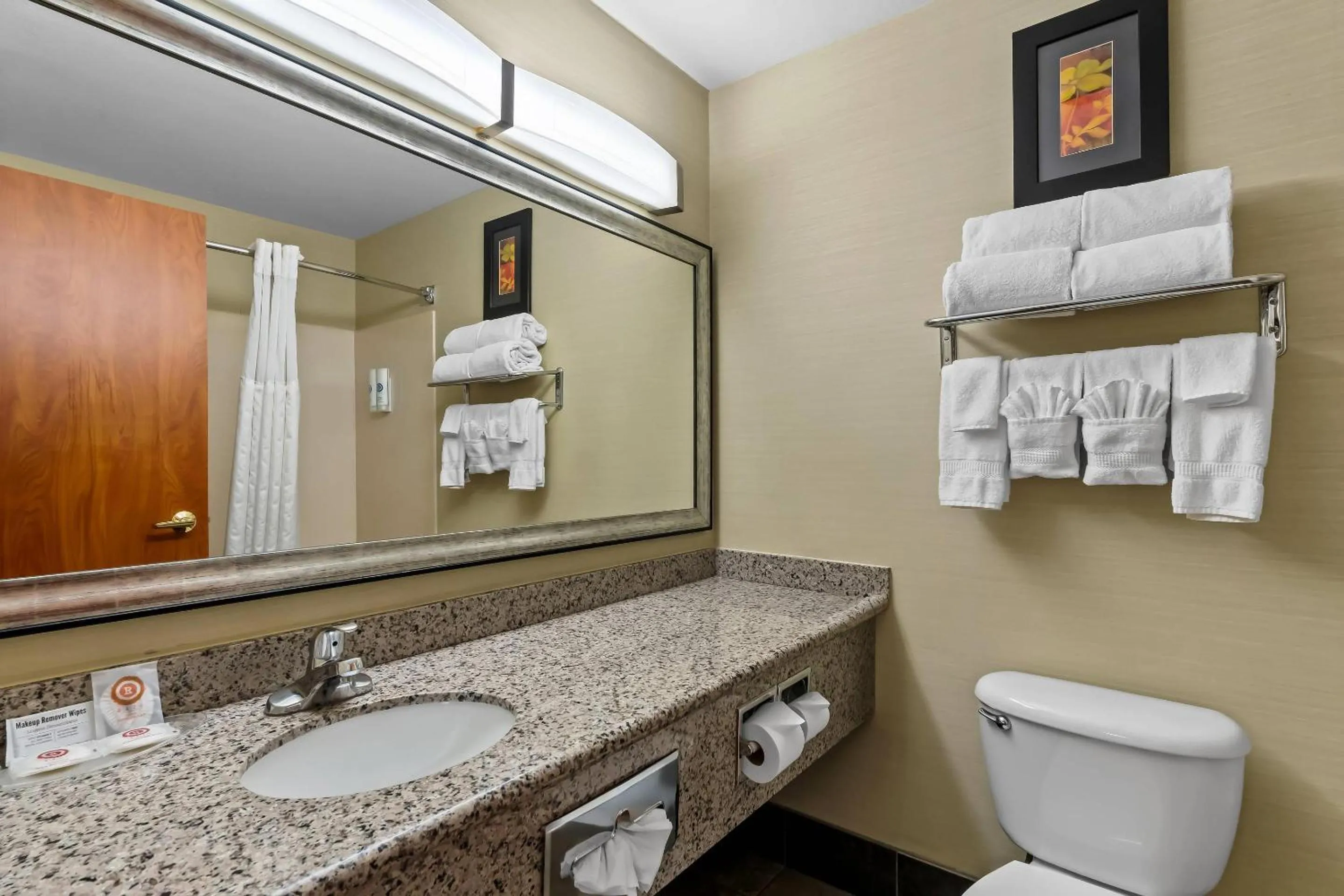 Bedroom in Comfort Suites Denver Tech Center