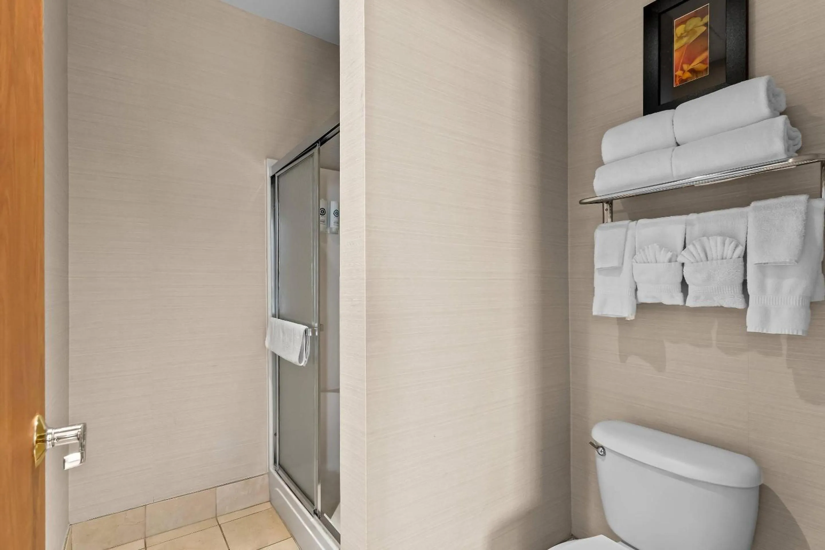 Bedroom in Comfort Suites Denver Tech Center