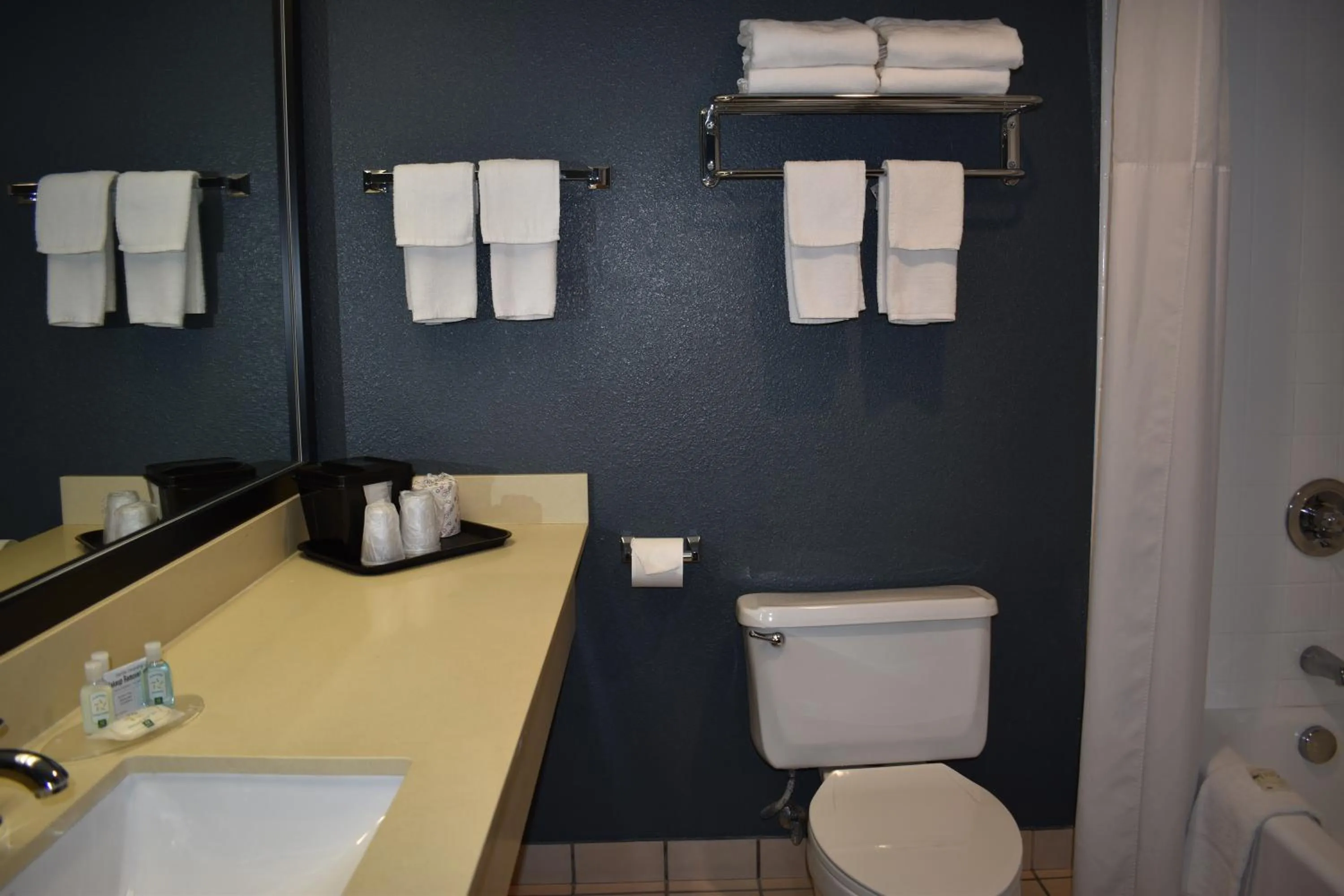 Bathroom in Quality Inn & Suites Garden Of The Gods