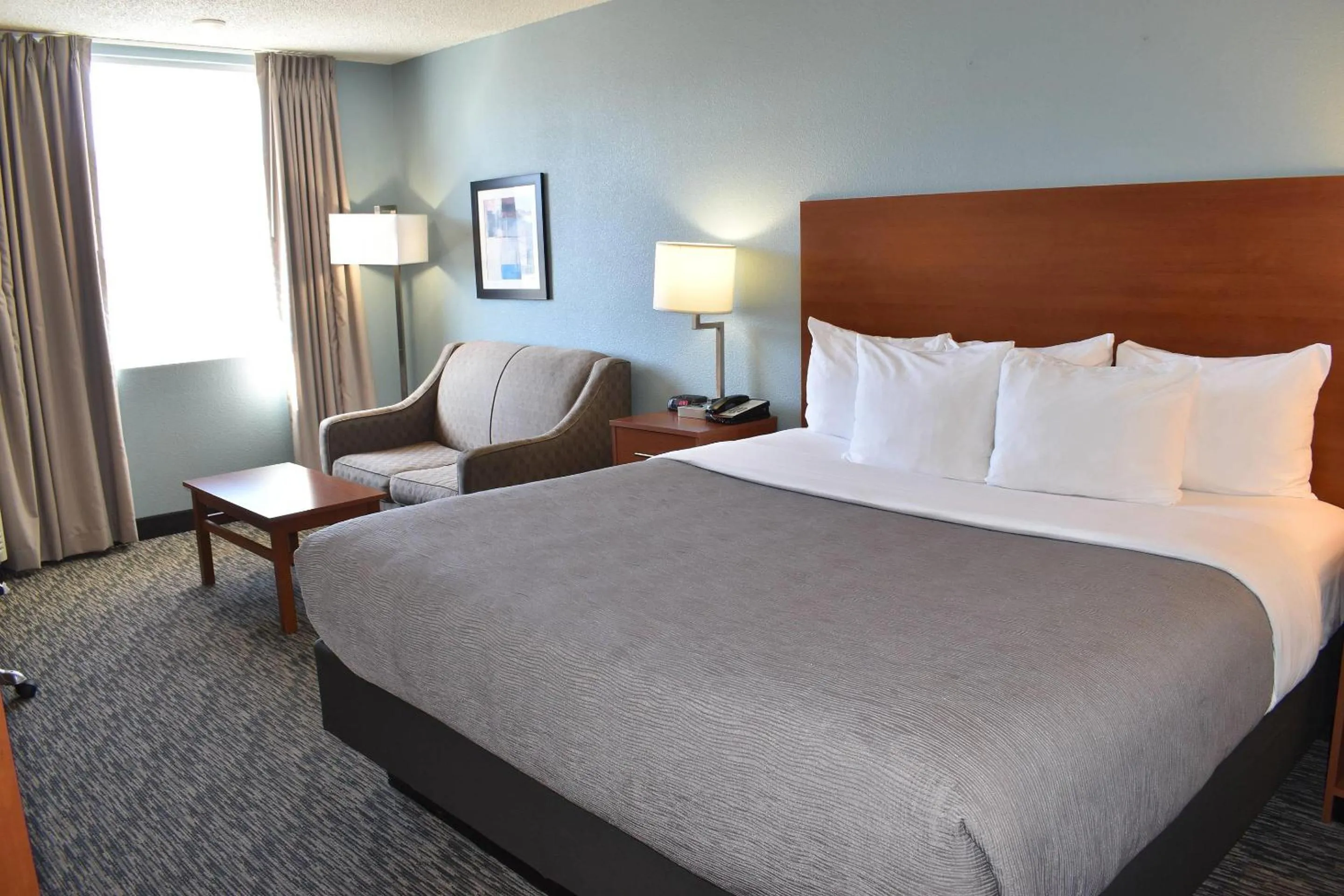 Bedroom, Bed in Quality Inn & Suites Garden Of The Gods