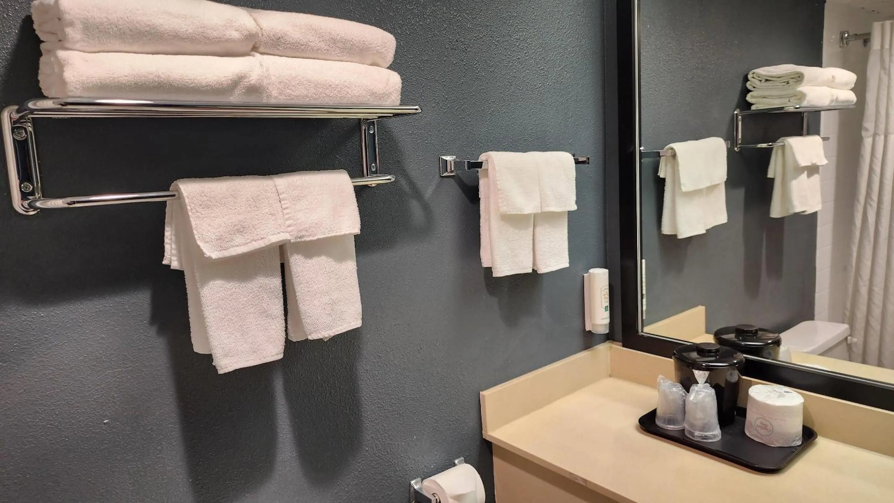 Bedroom in Quality Inn & Suites Garden Of The Gods