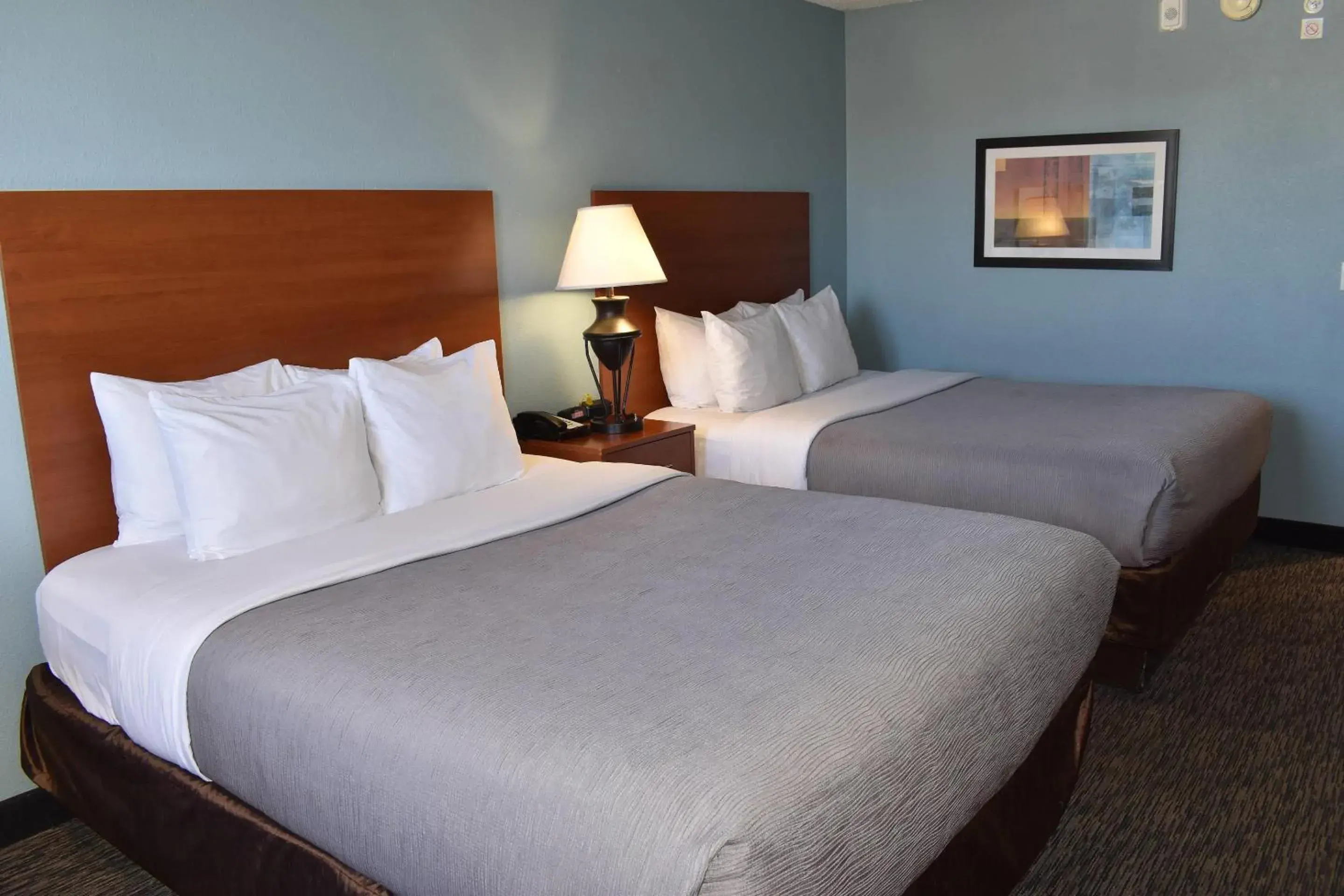 Queen Room with Two Queen Beds - Non-Smoking/Pet Friendly in Quality Inn & Suites Garden Of The Gods Queen Room with Two Queen Beds - Non-Smoking/Pet Friendly in Quality Inn & Suites Garden Of The Gods